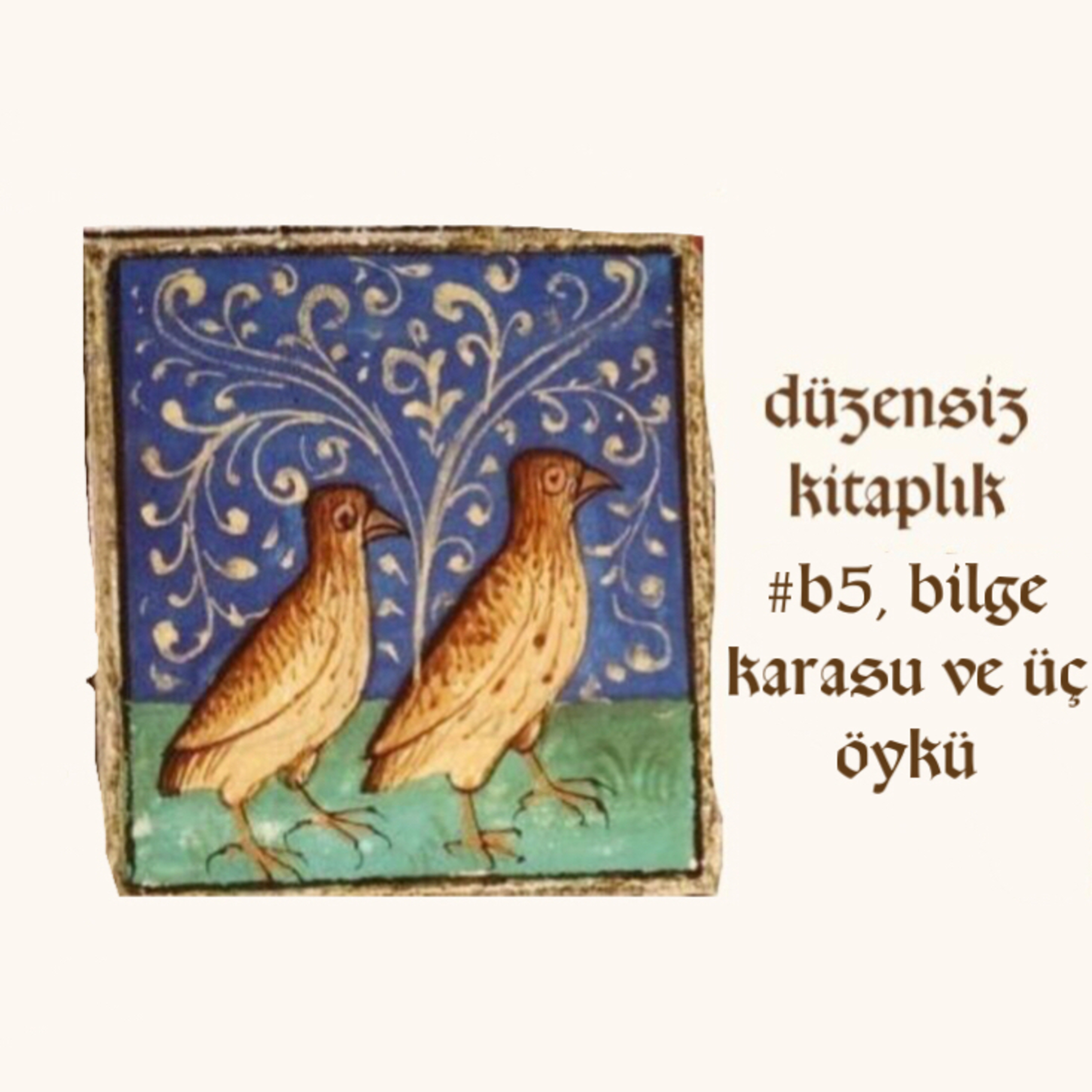düzensiz kitaplık