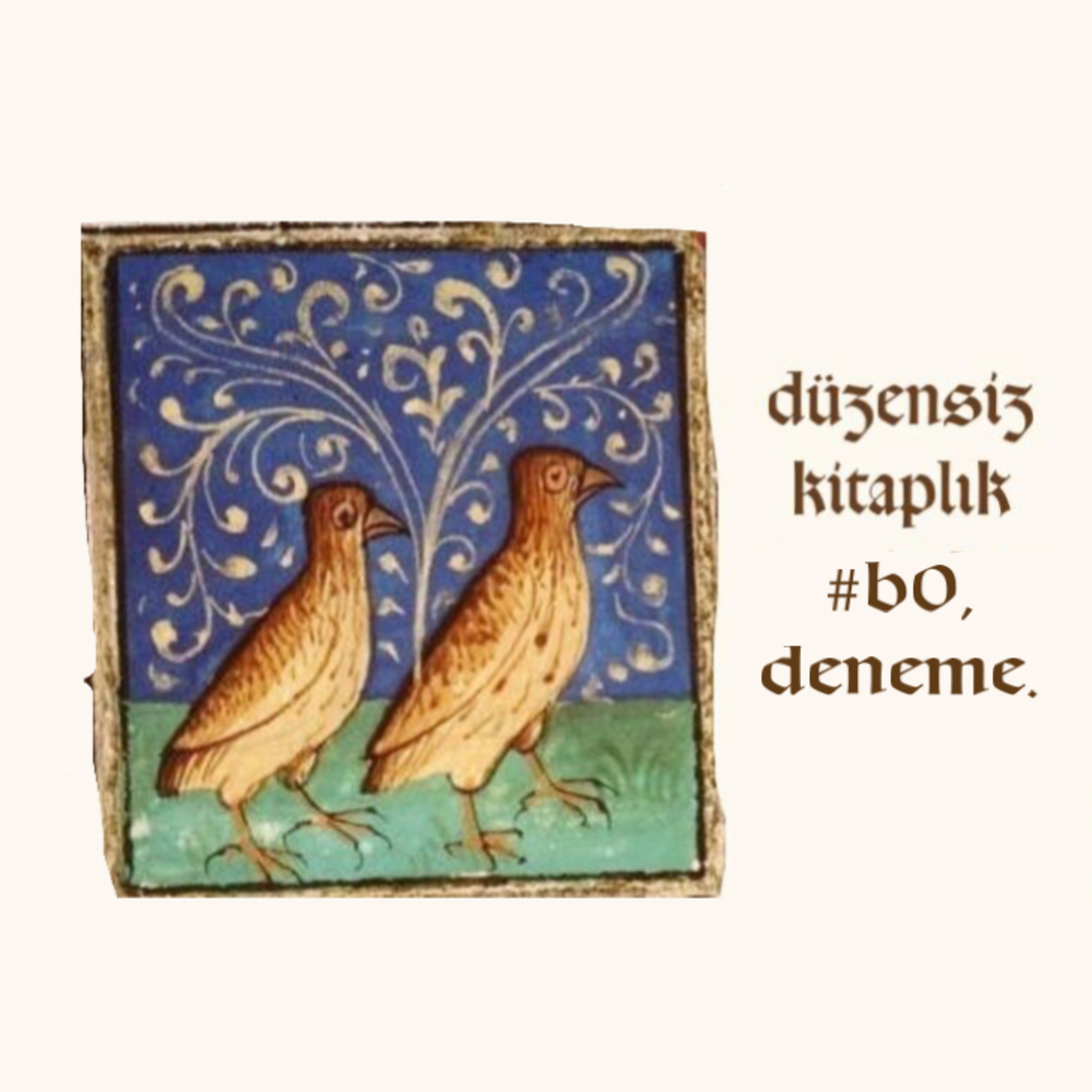 düzensiz kitaplık