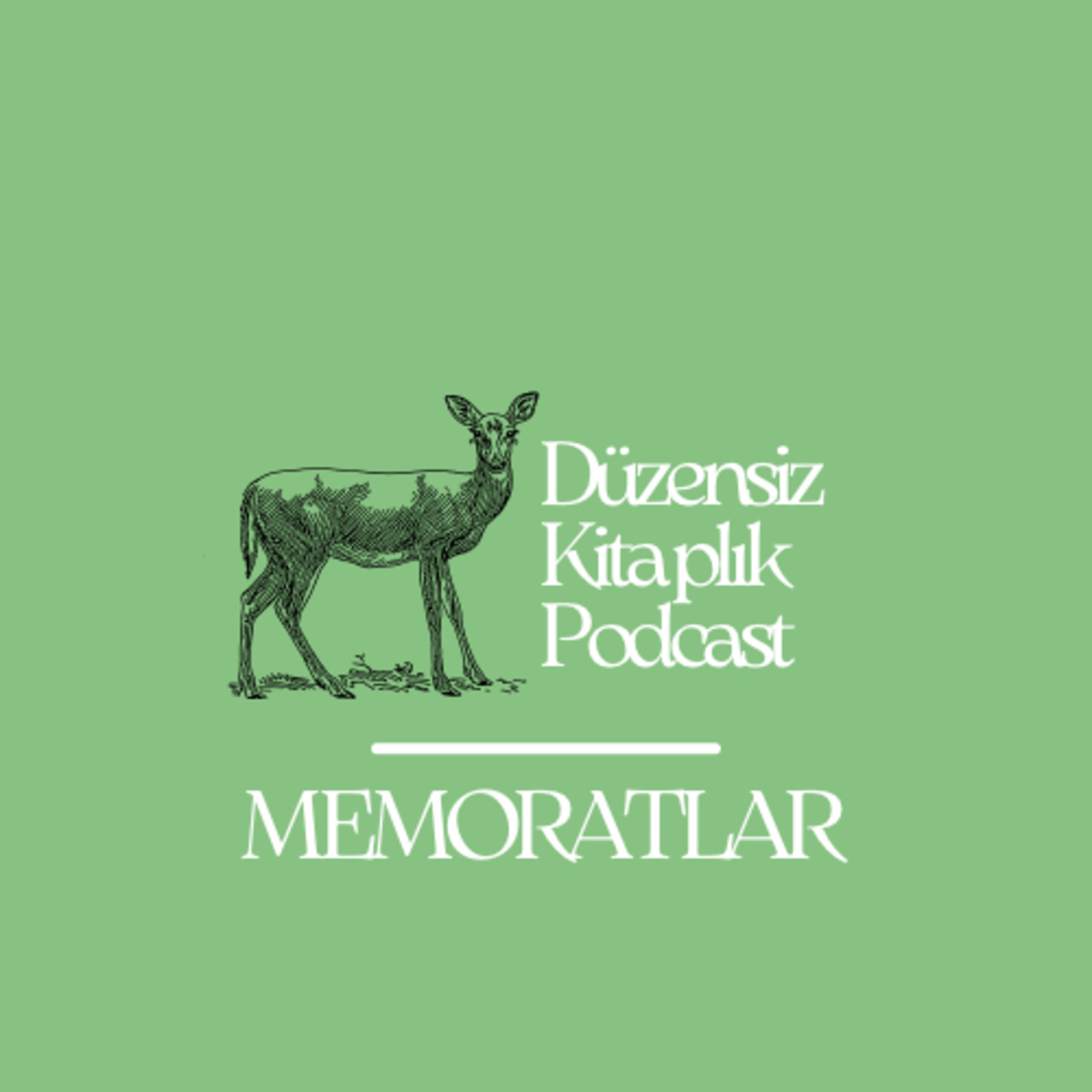 düzensiz kitaplık