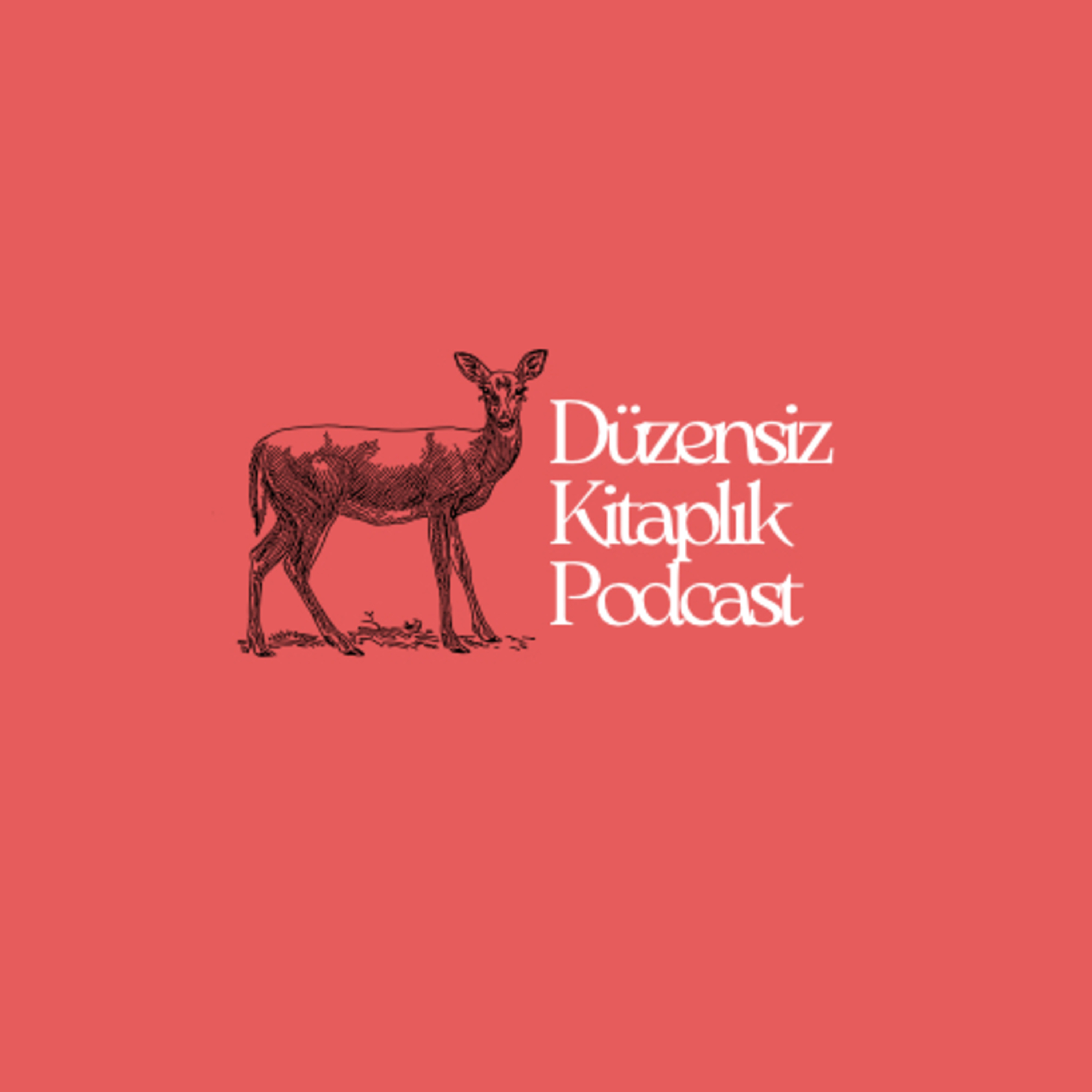 düzensiz kitaplık