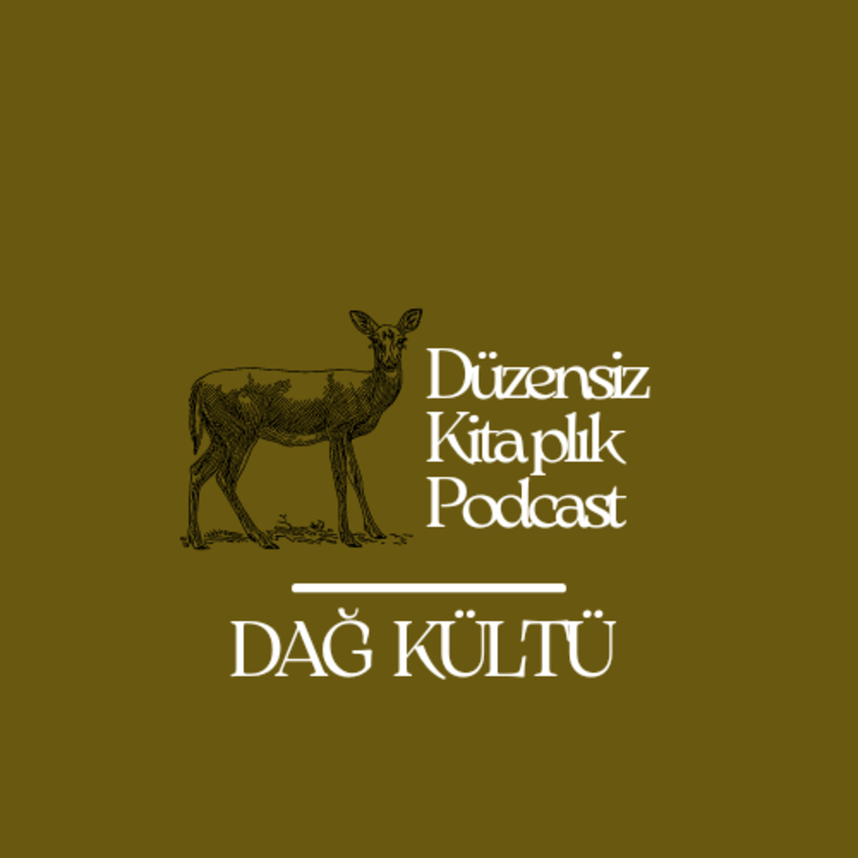 düzensiz kitaplık