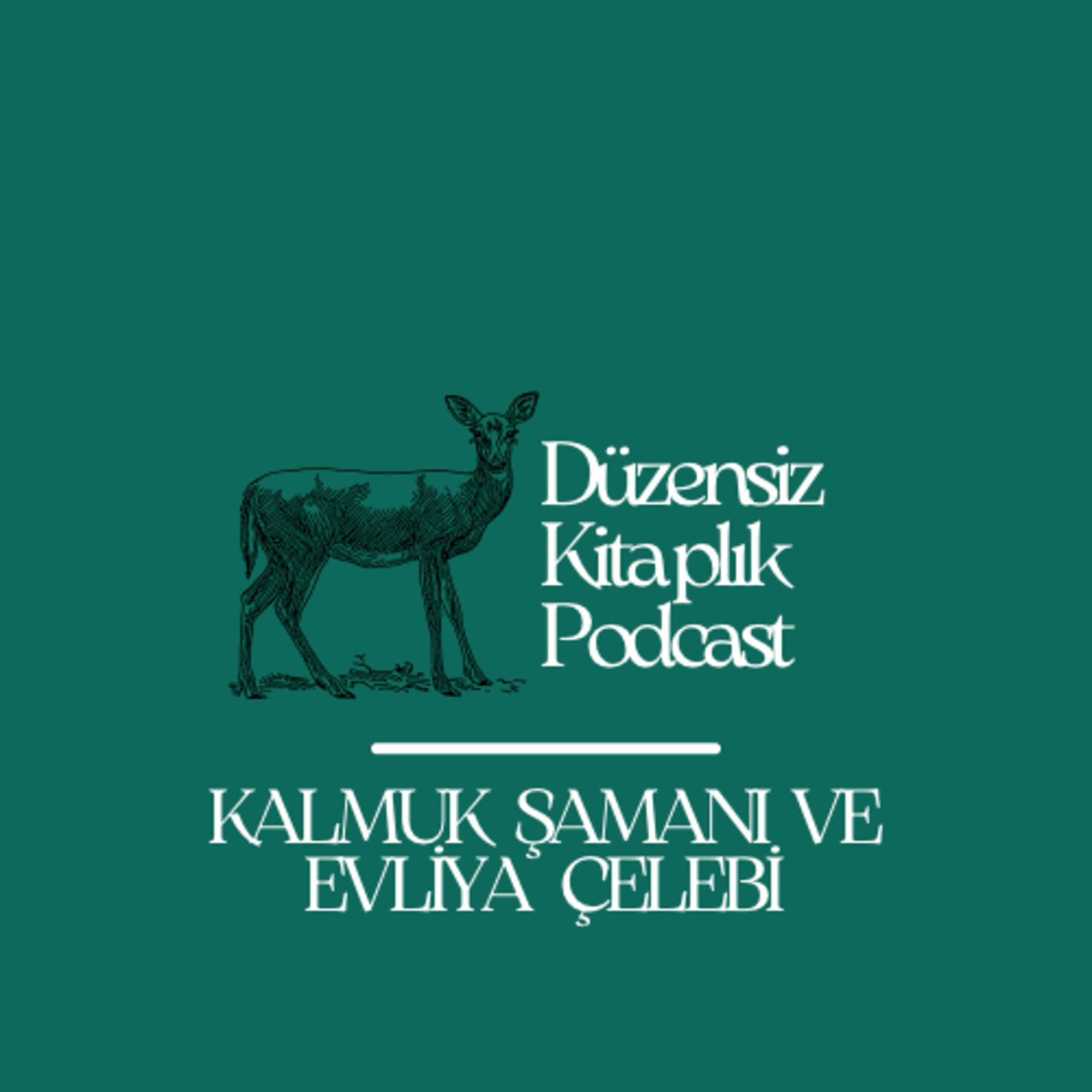 düzensiz kitaplık
