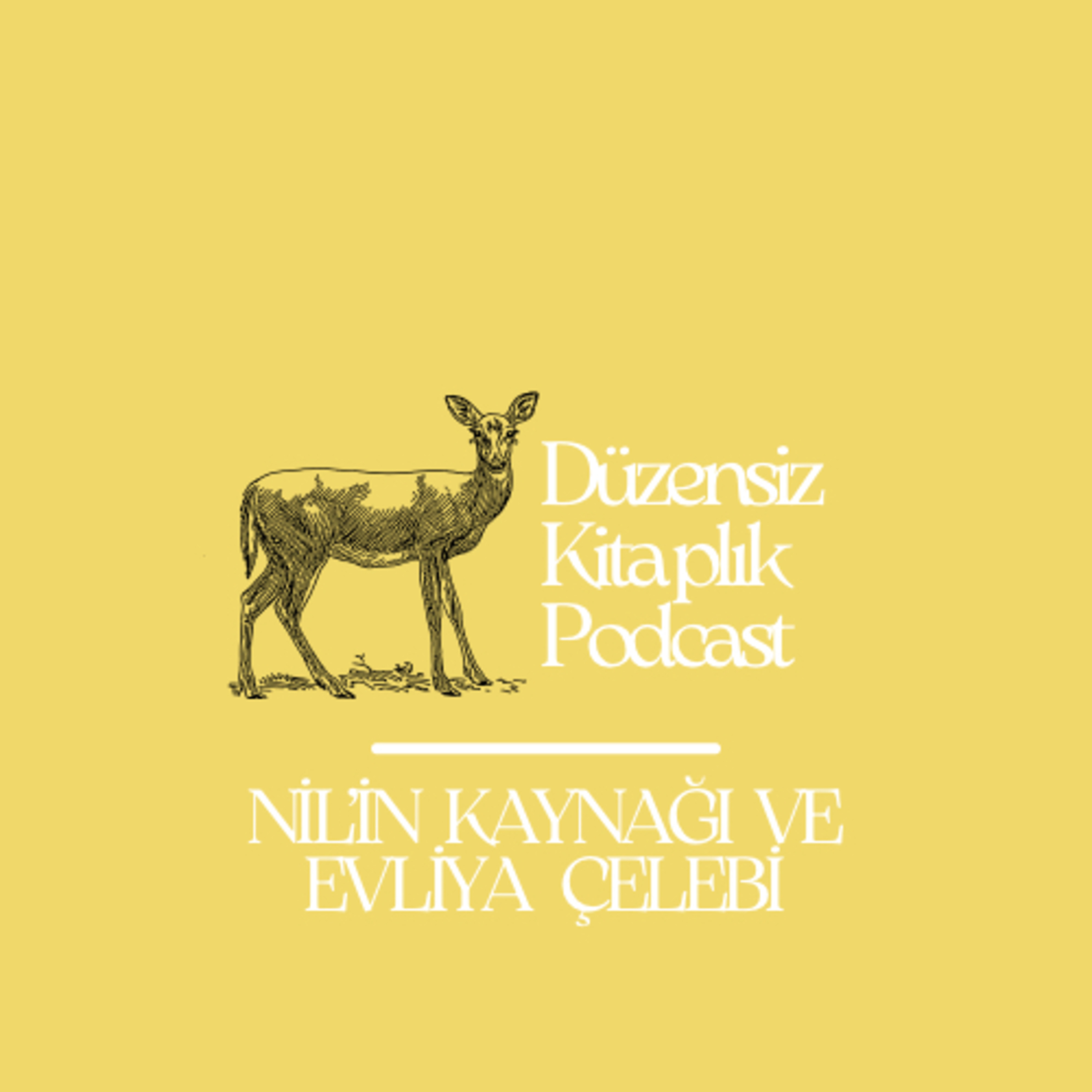 düzensiz kitaplık