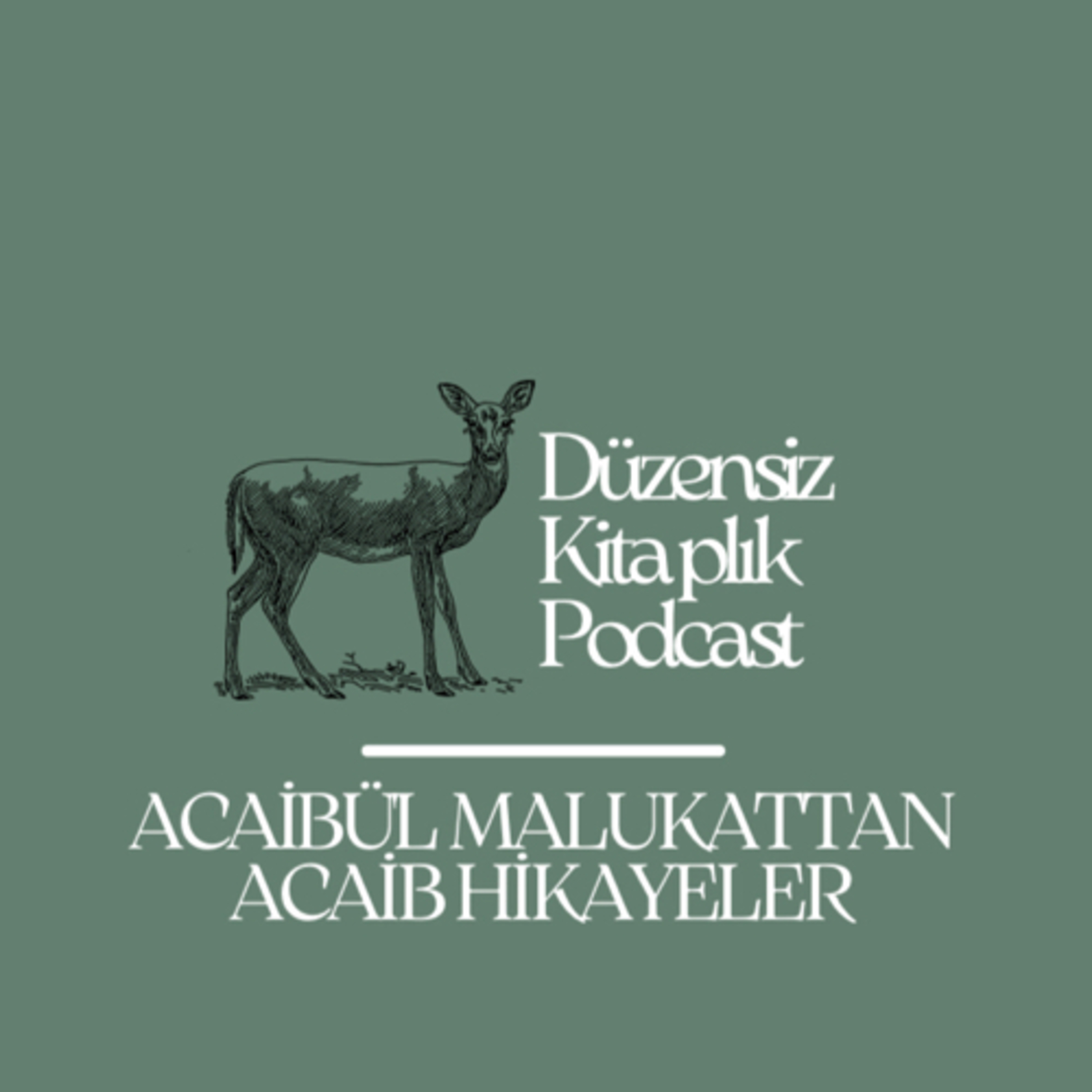 düzensiz kitaplık