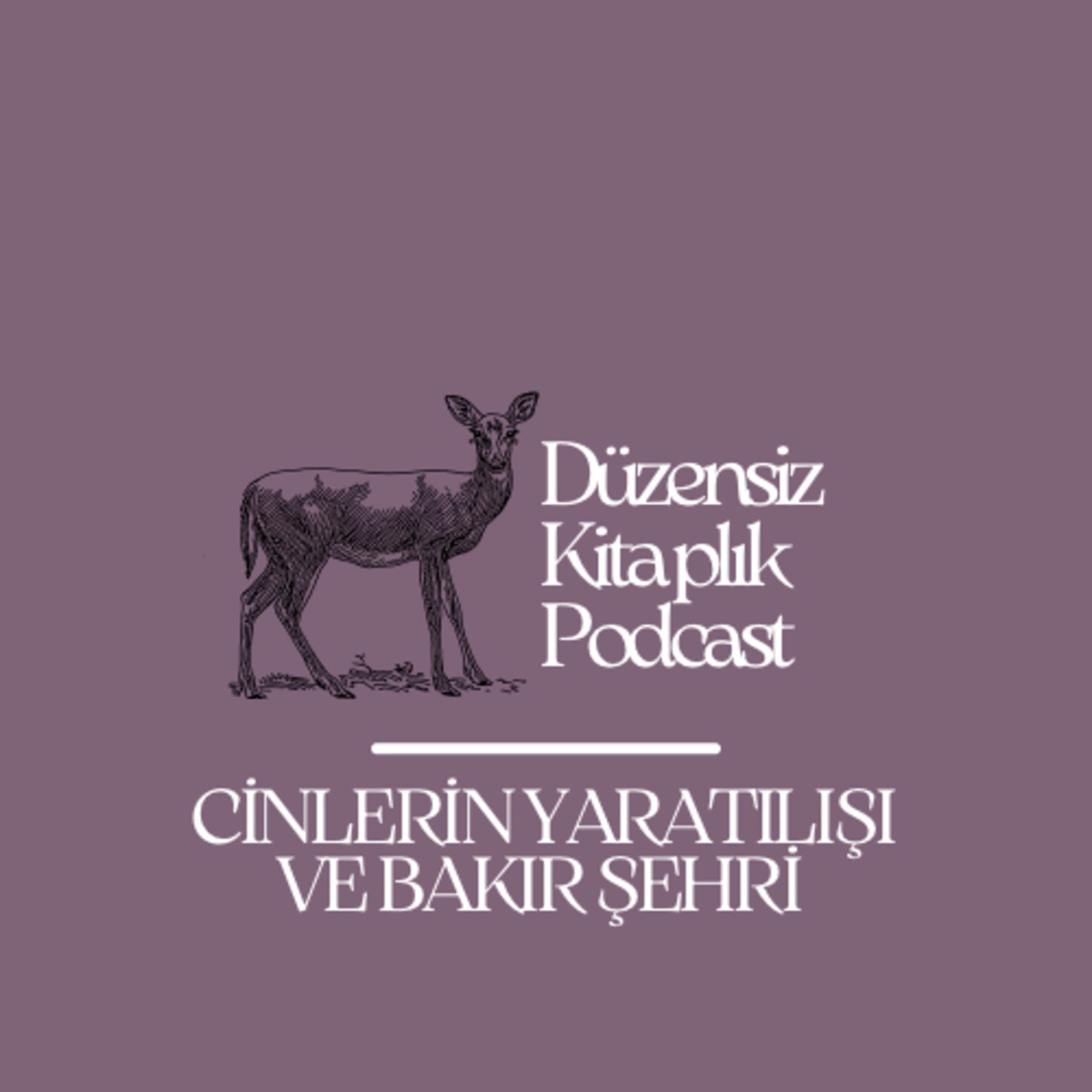 düzensiz kitaplık