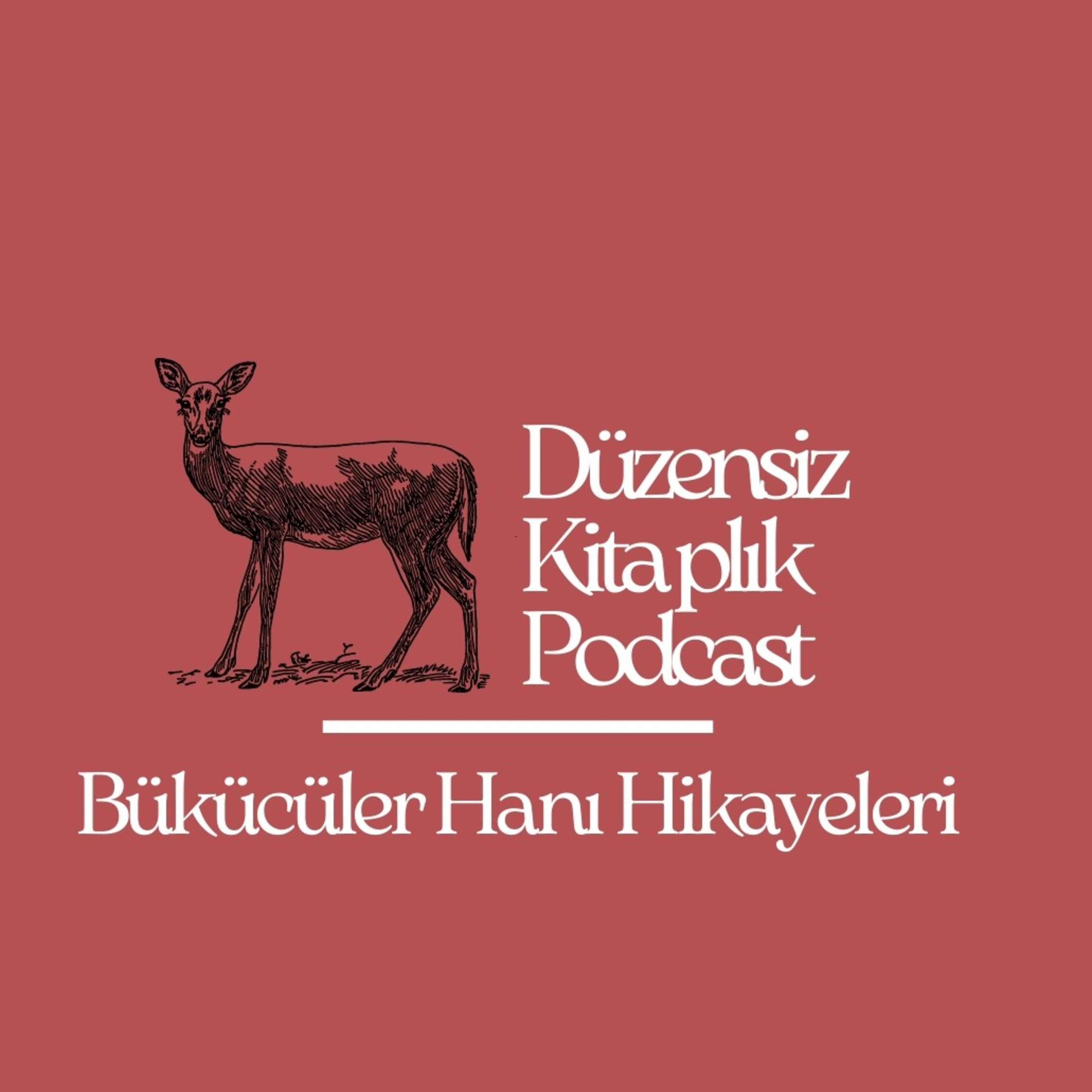 düzensiz kitaplık