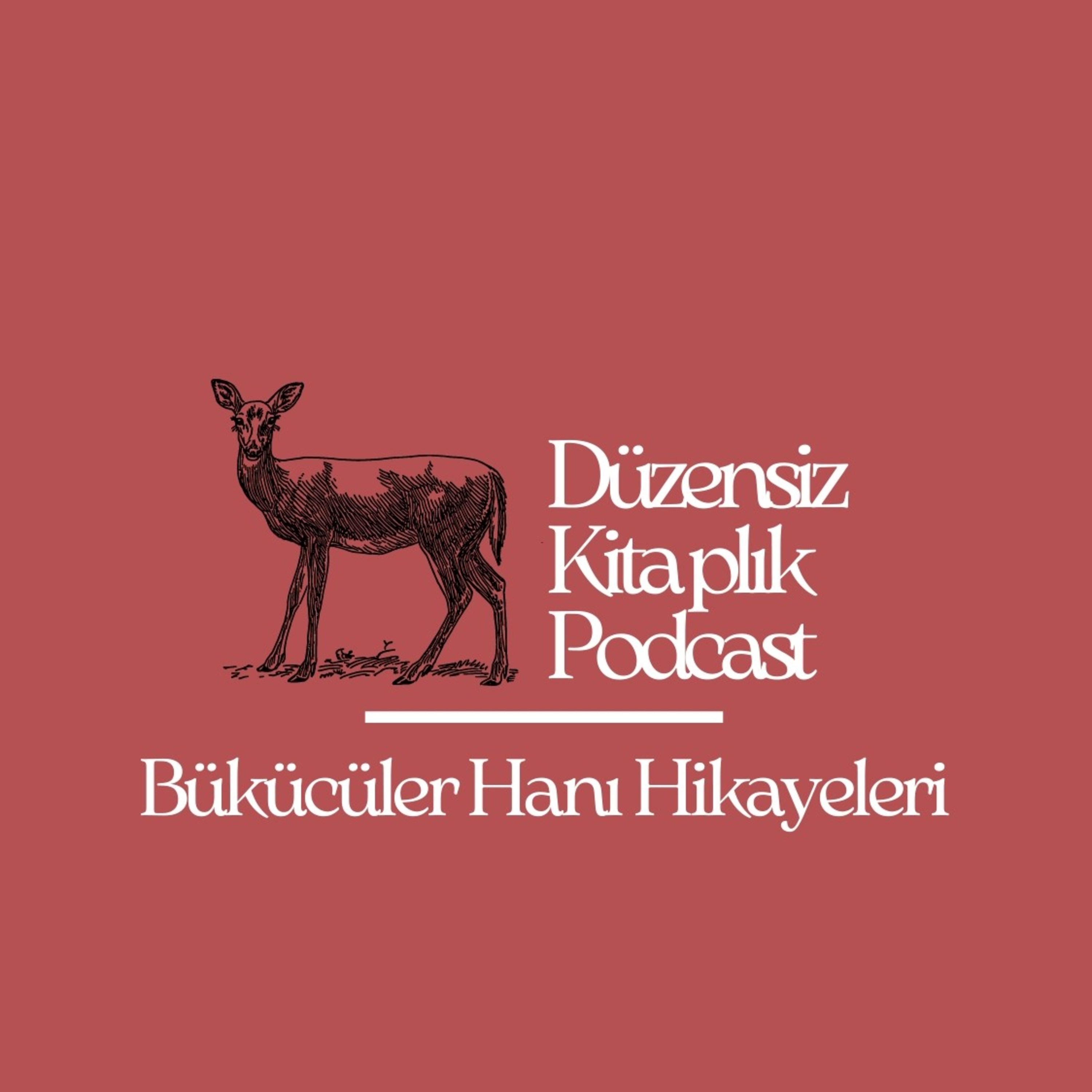 düzensiz kitaplık