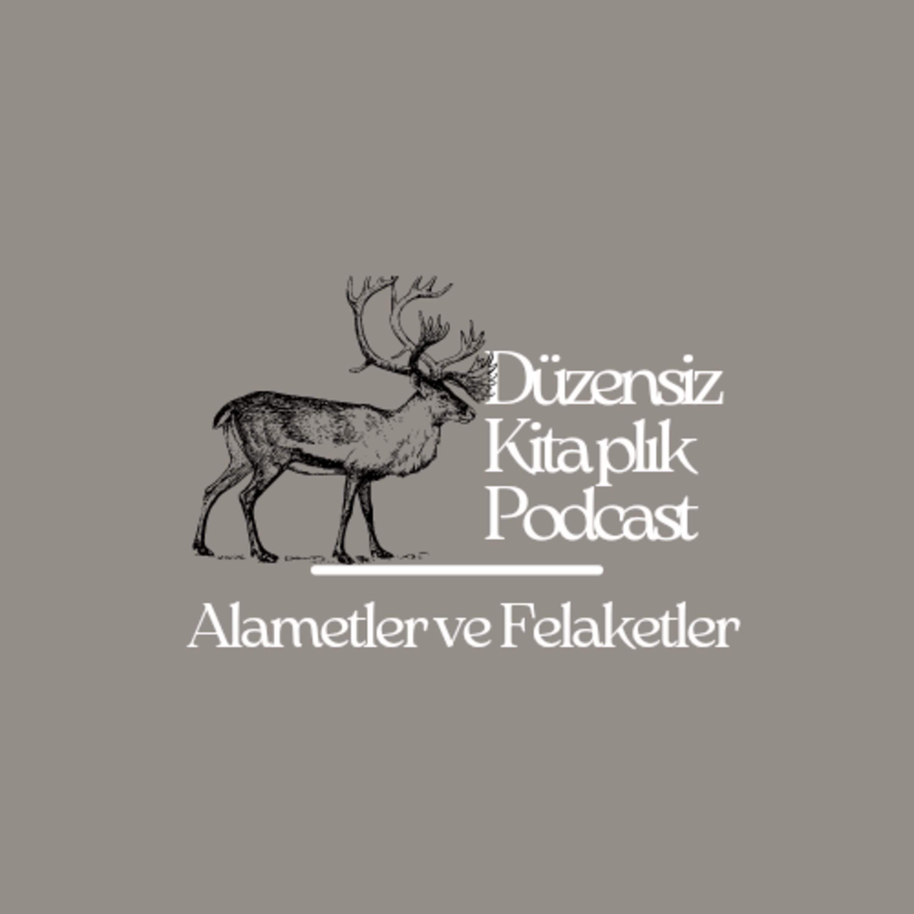 düzensiz kitaplık