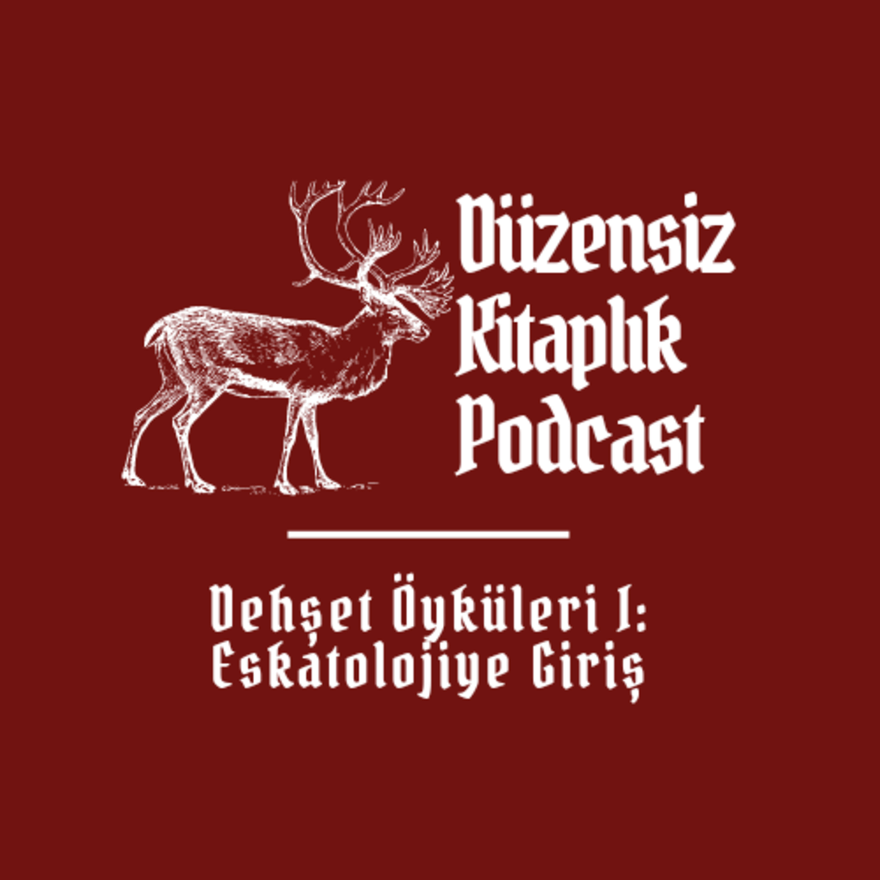 düzensiz kitaplık