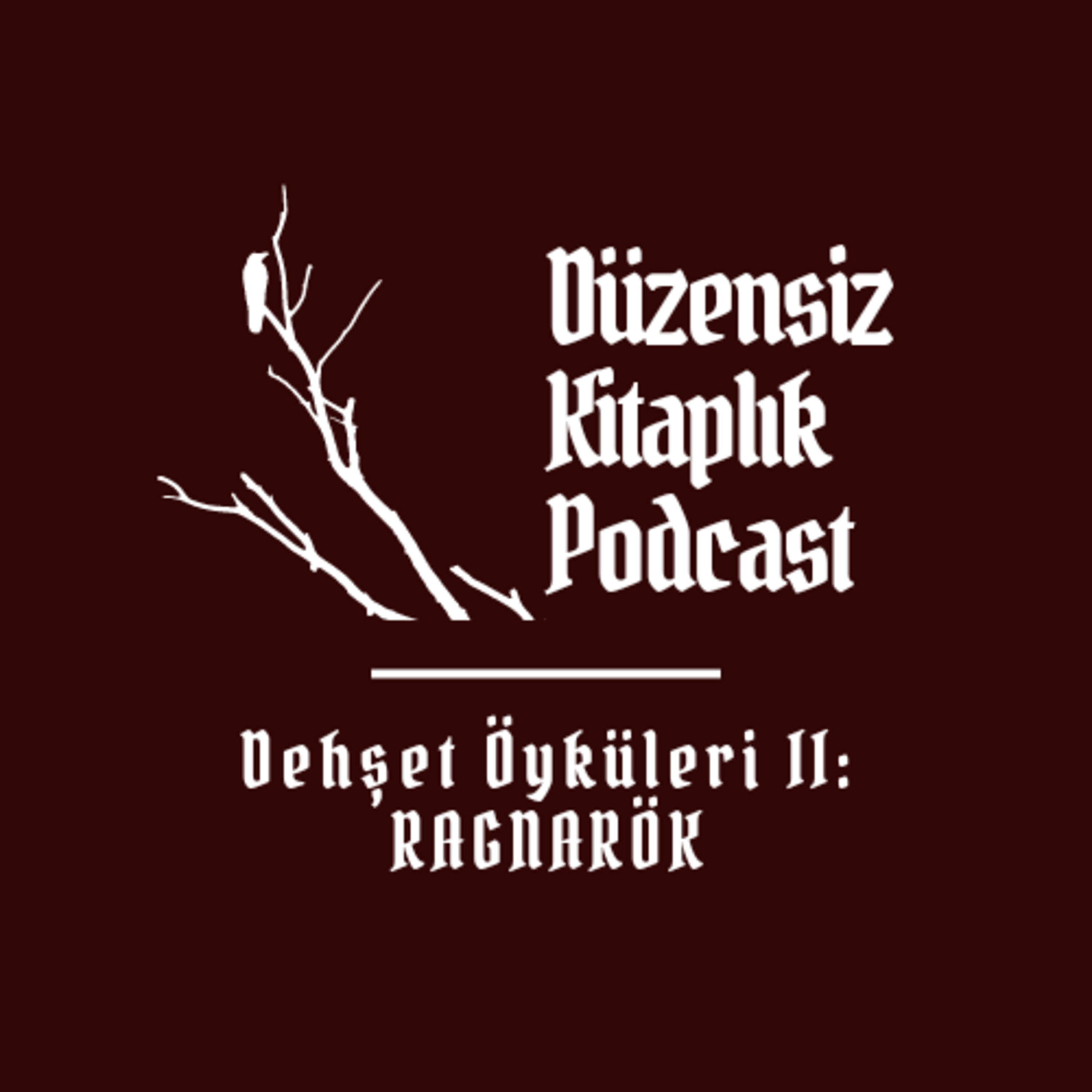 düzensiz kitaplık