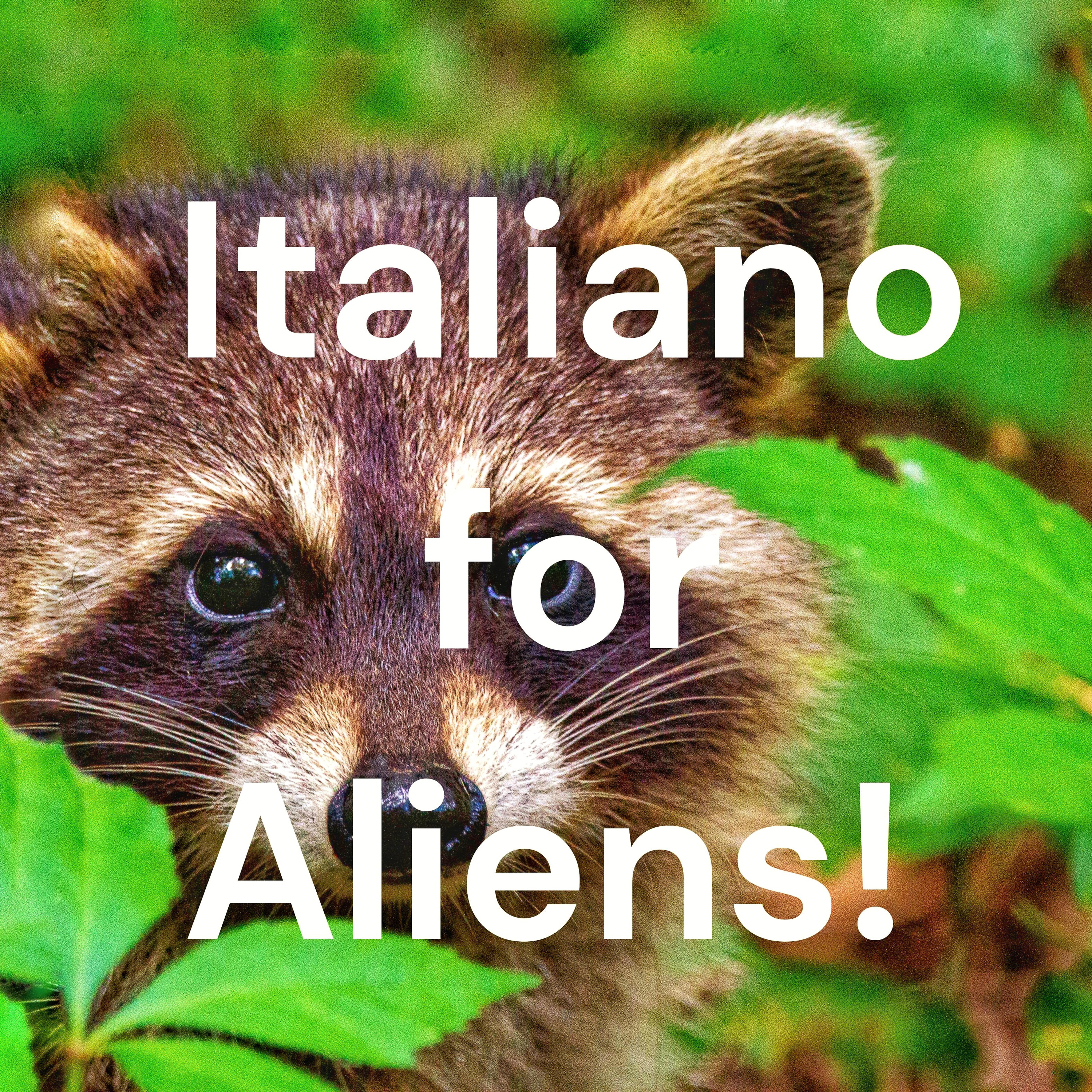 Italiano for Aliens