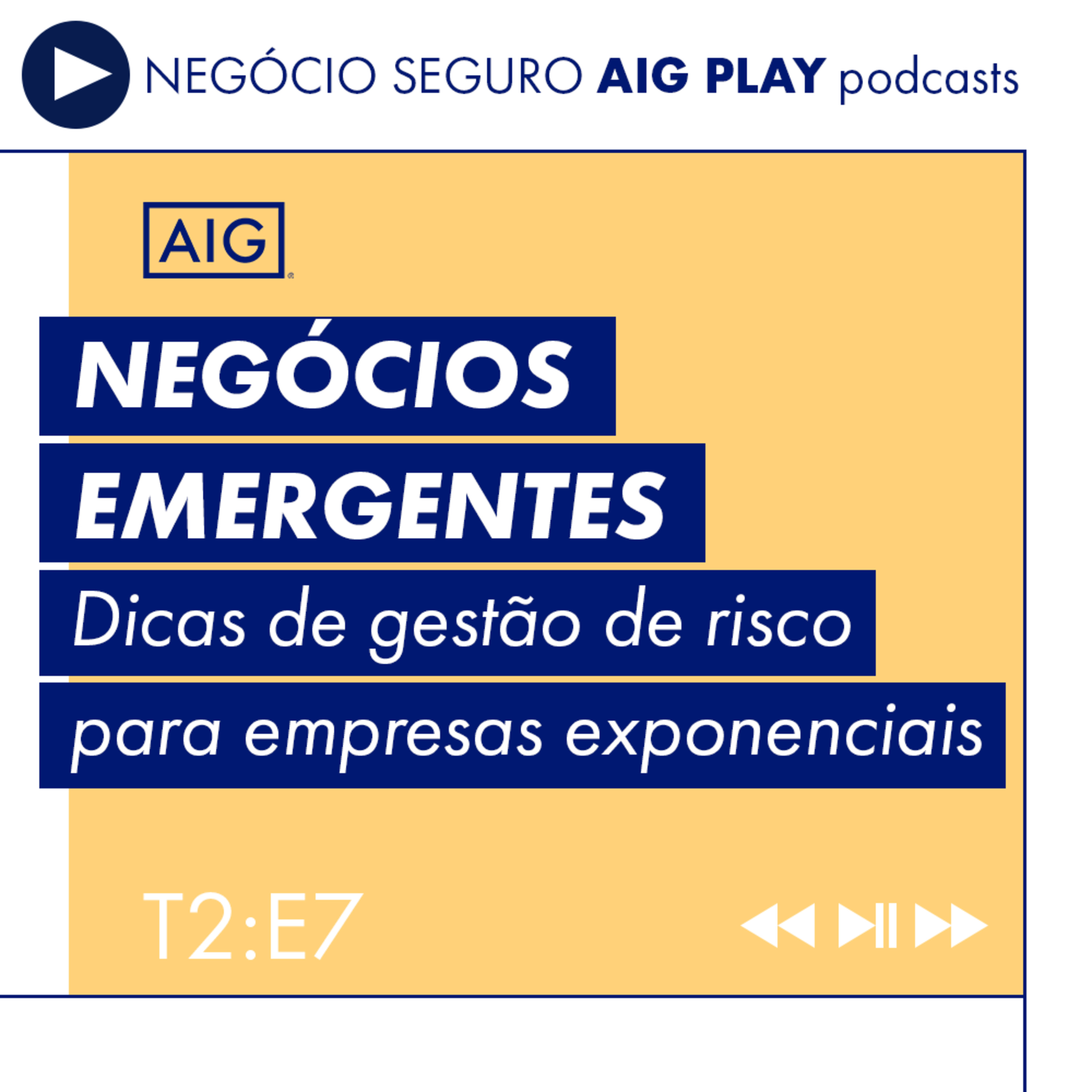 Negócio Seguro AIG Play