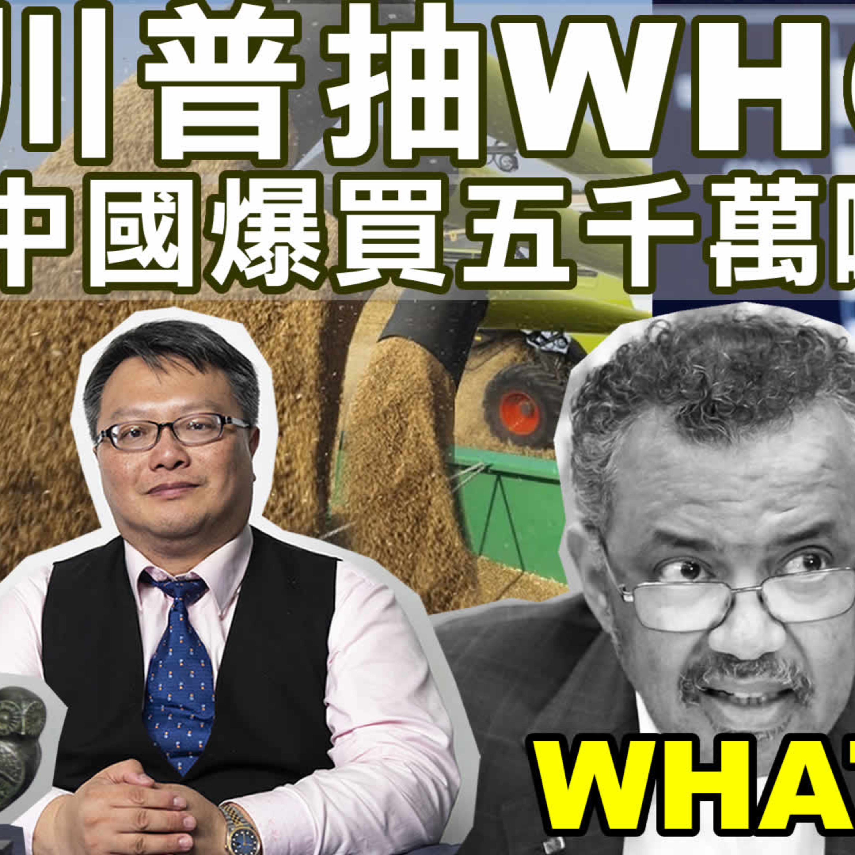 梟息報你知owlmedia.tw