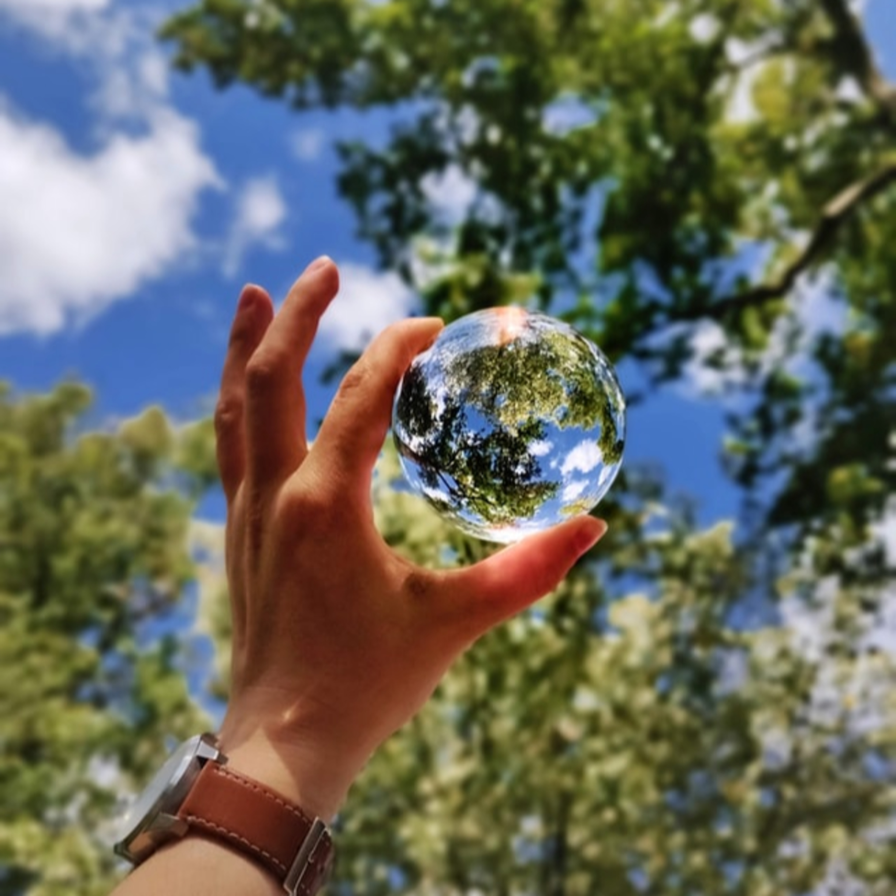 What are the popular renewable energy options?