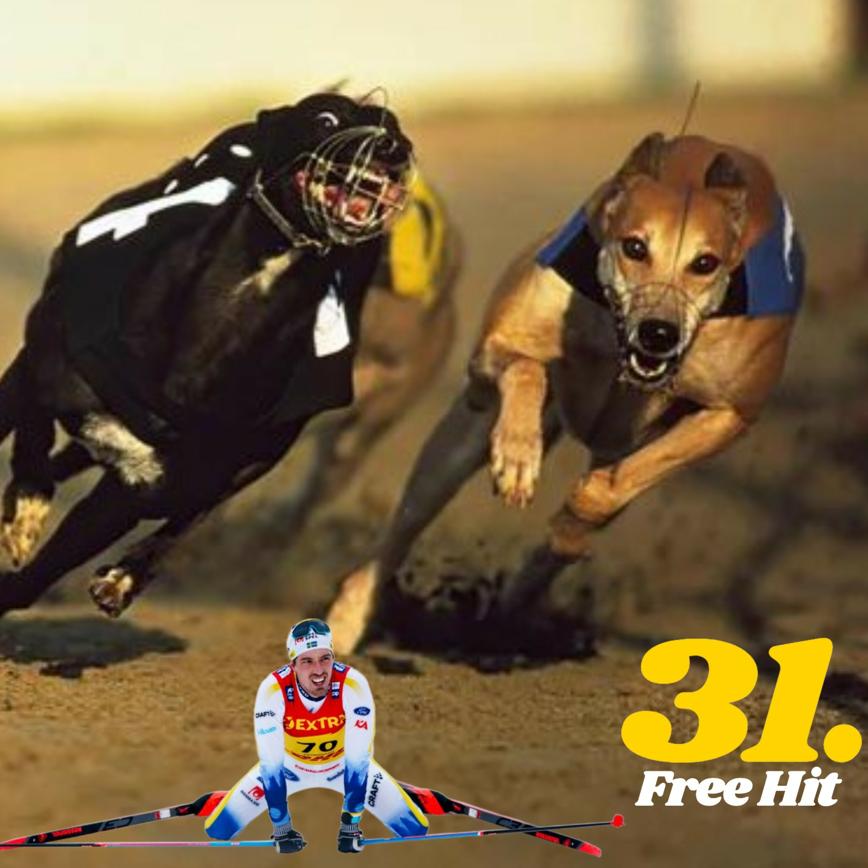 31. Free Hit