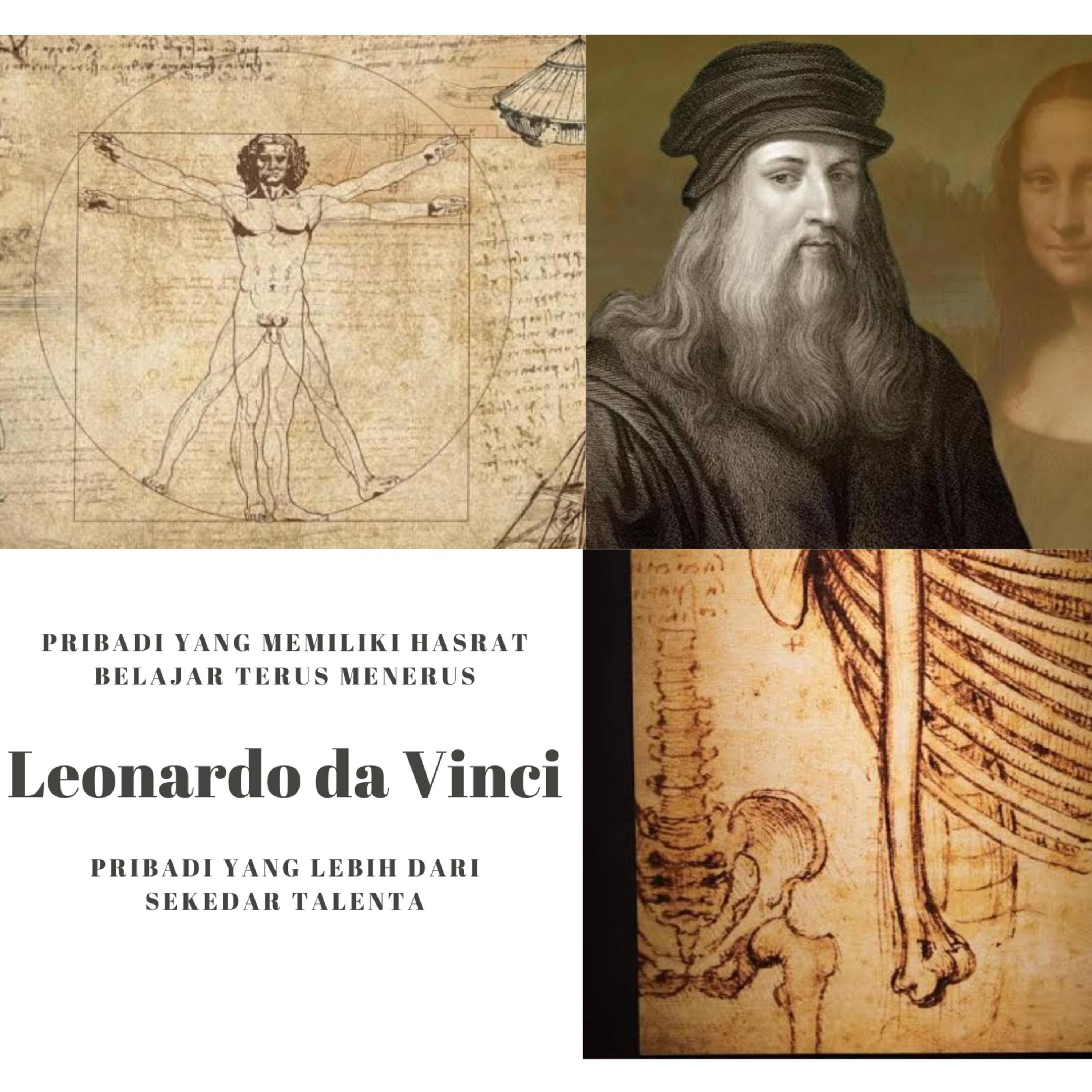 Leonardo da Vinci: Pribadi yang Memiliki Keinginan Belajar episode artwork