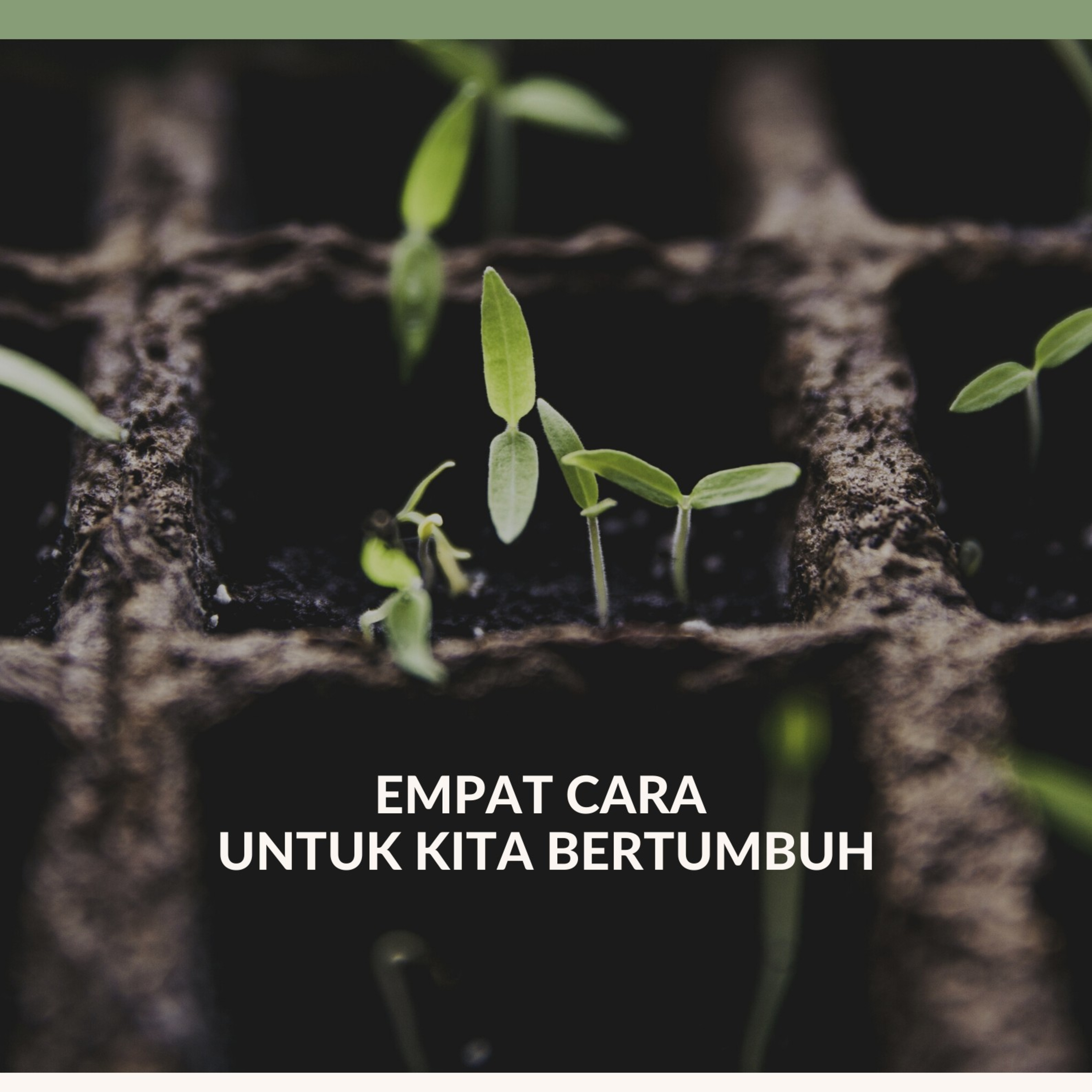 Cara Kita Bertumbuh episode artwork
