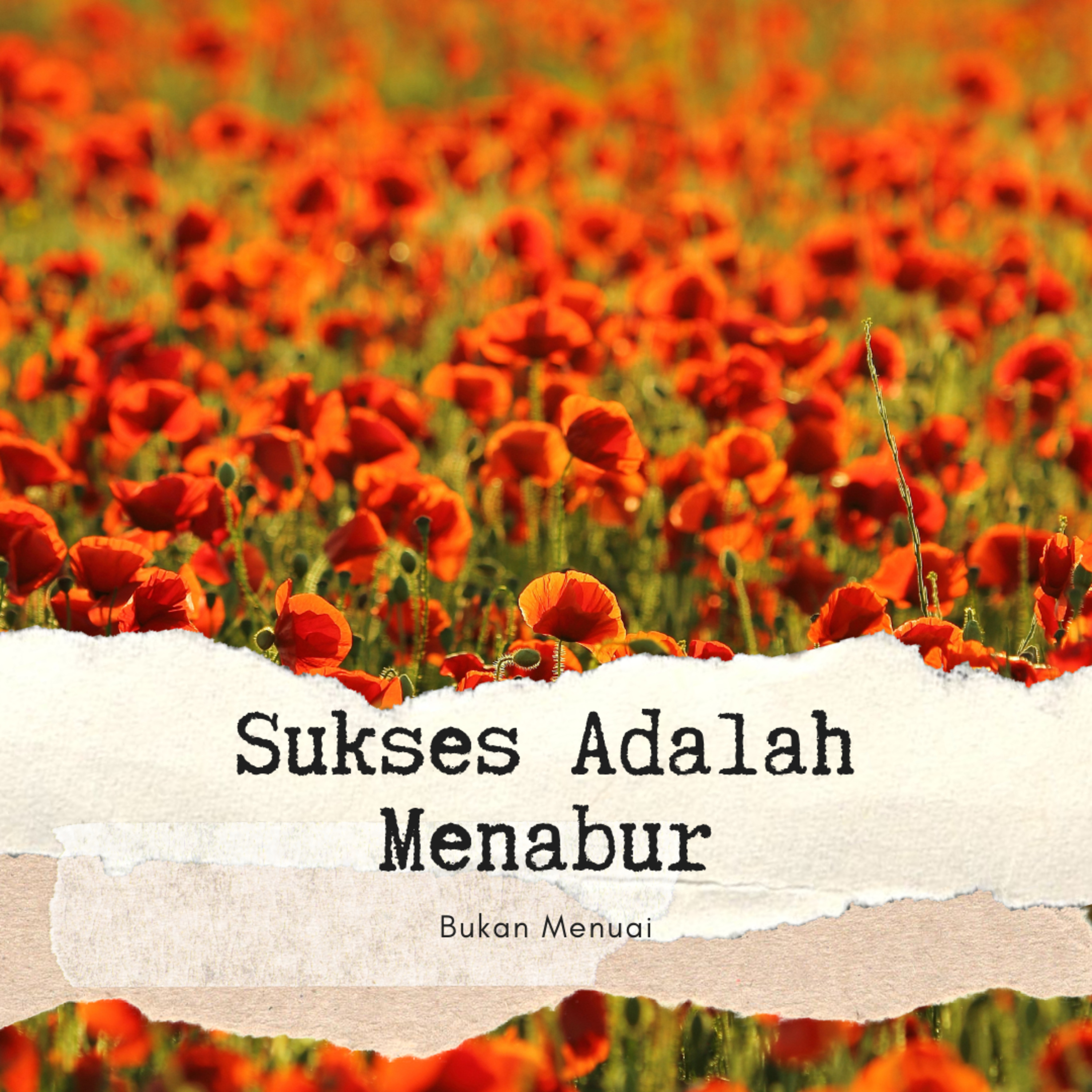 Sukses Adalah Menabur Bukan Menuai episode artwork