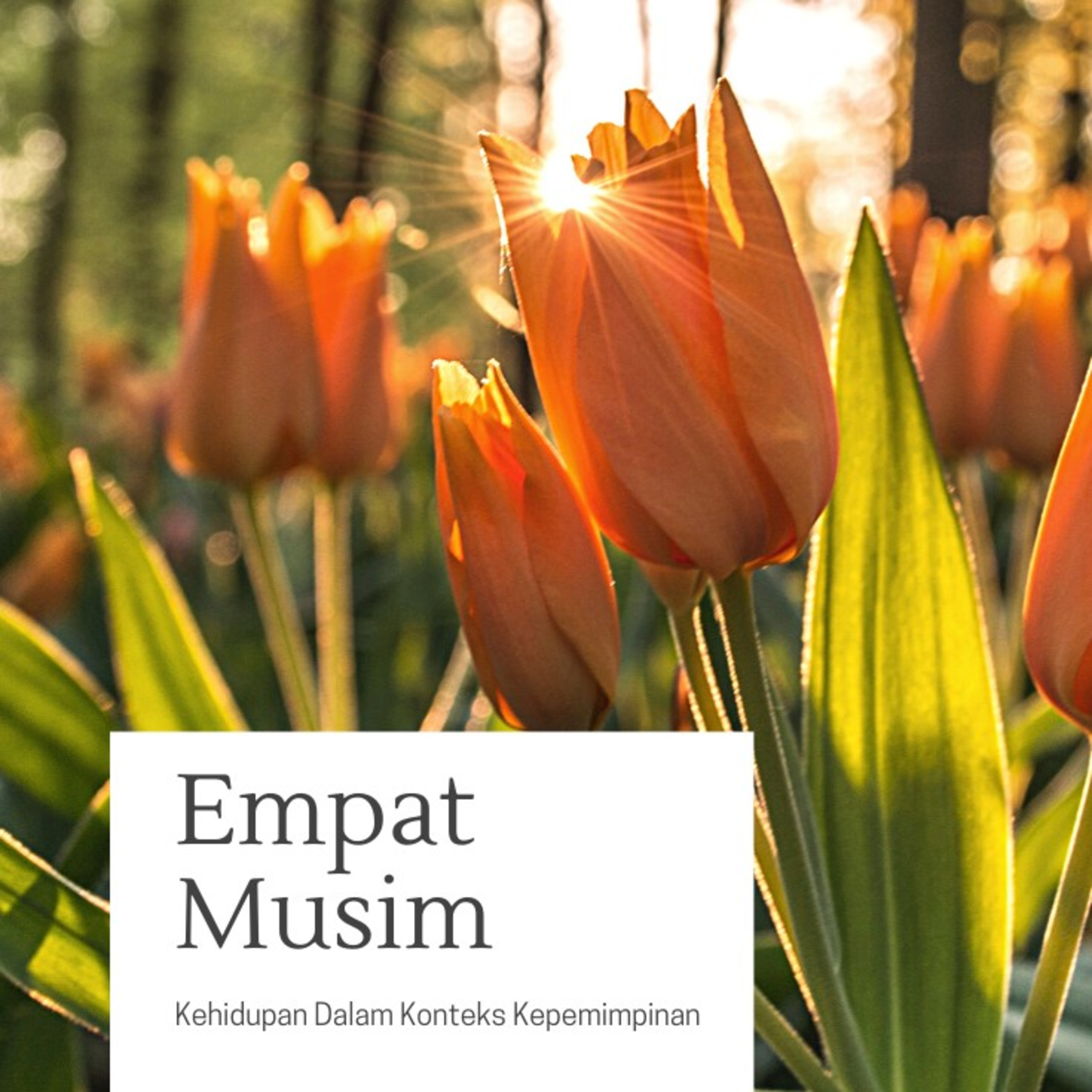 Empat Musim Kehidupan episode artwork
