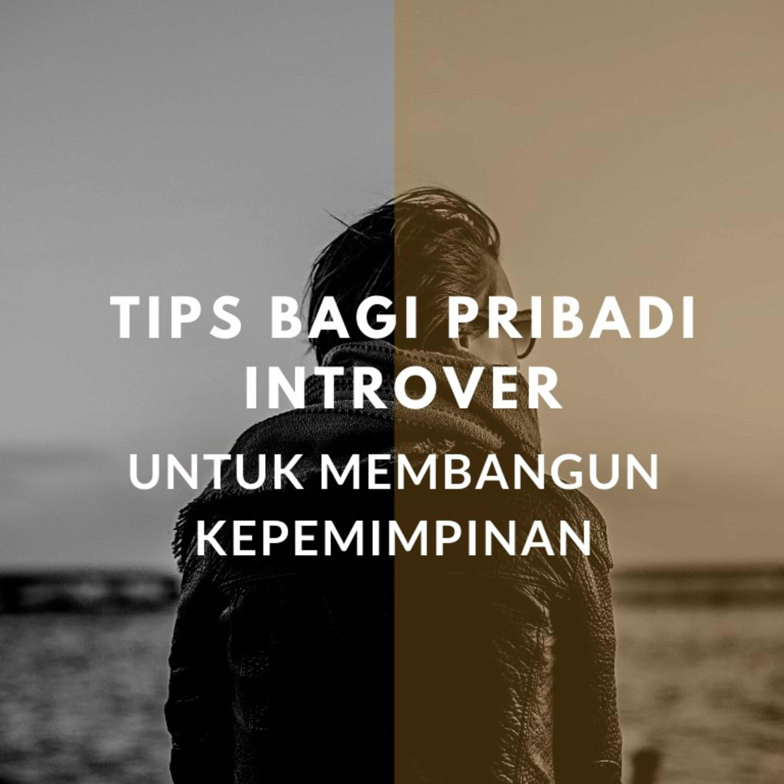 Tips Membangun Kepemimpinan Bagi Orang Introver/Tertutup episode artwork