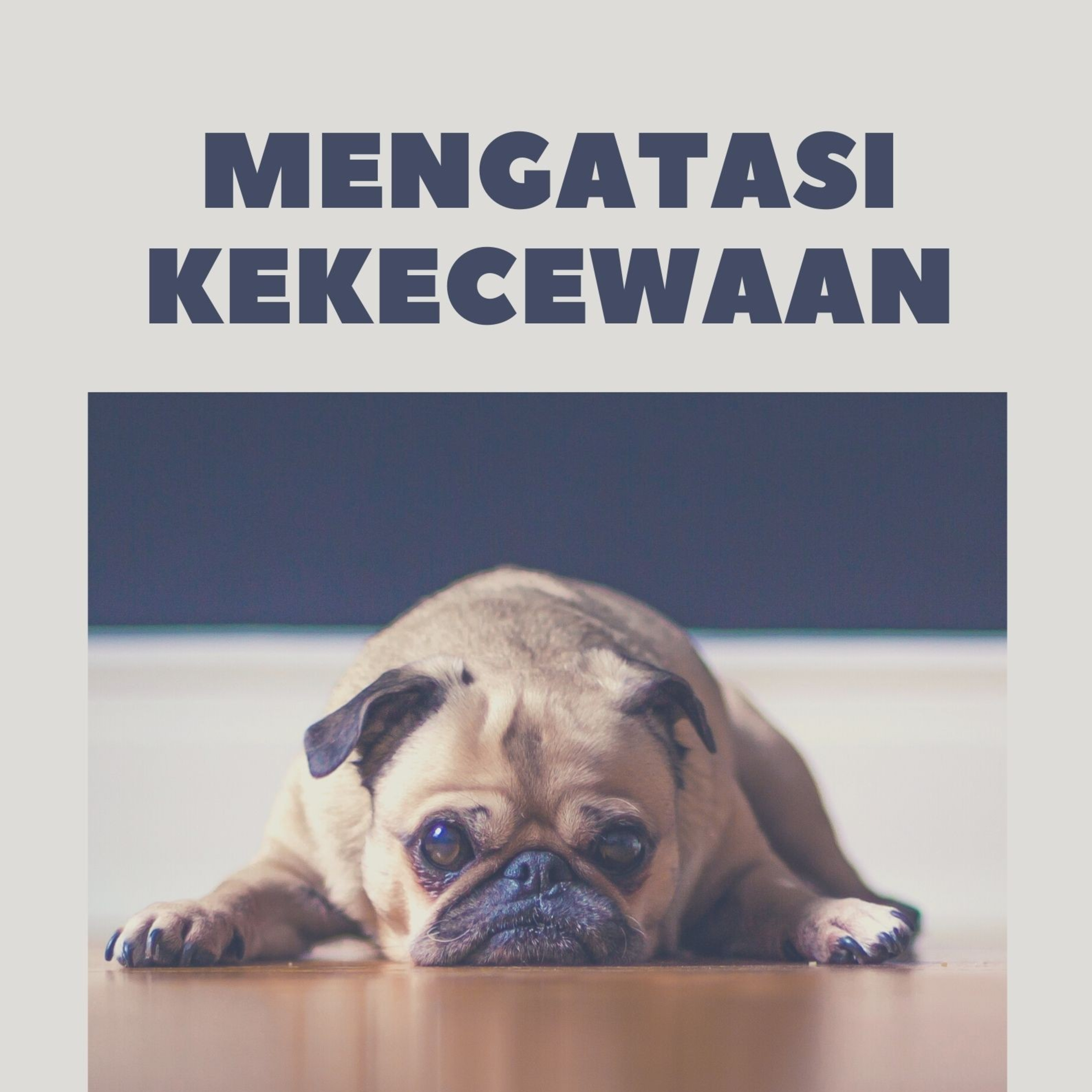 Menanggulangi Kekecewaan Saat Investasi Gagal episode artwork