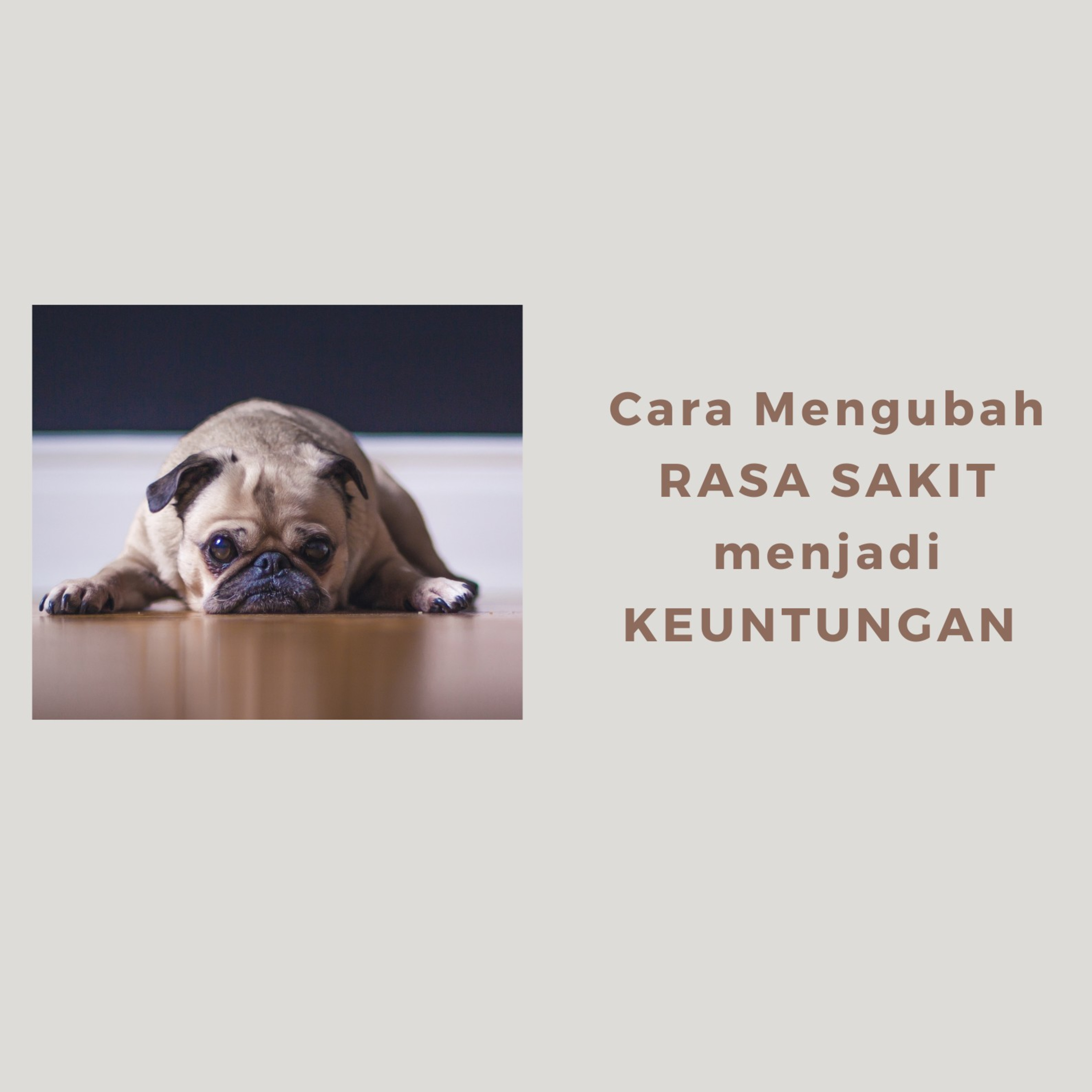 Cara Mengubah Rasa Sakit Menjadi Keuntungan (5) episode artwork