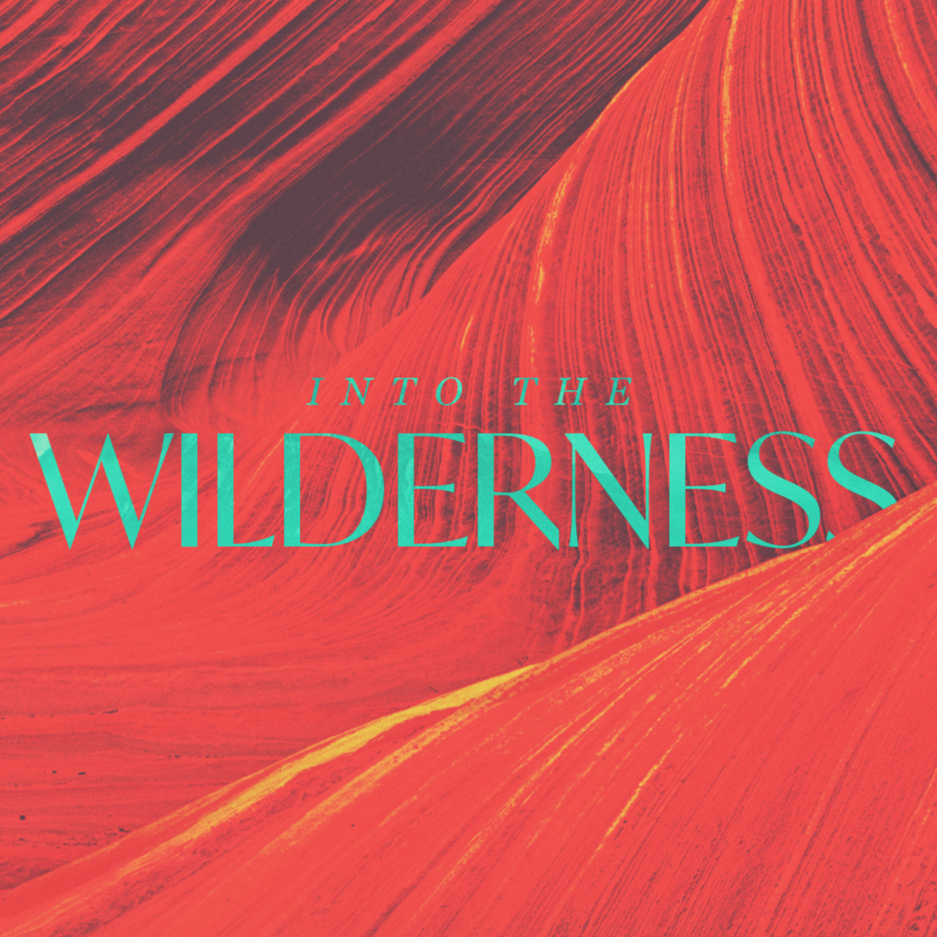 Into the Wilderness - Week 1  episode artwork