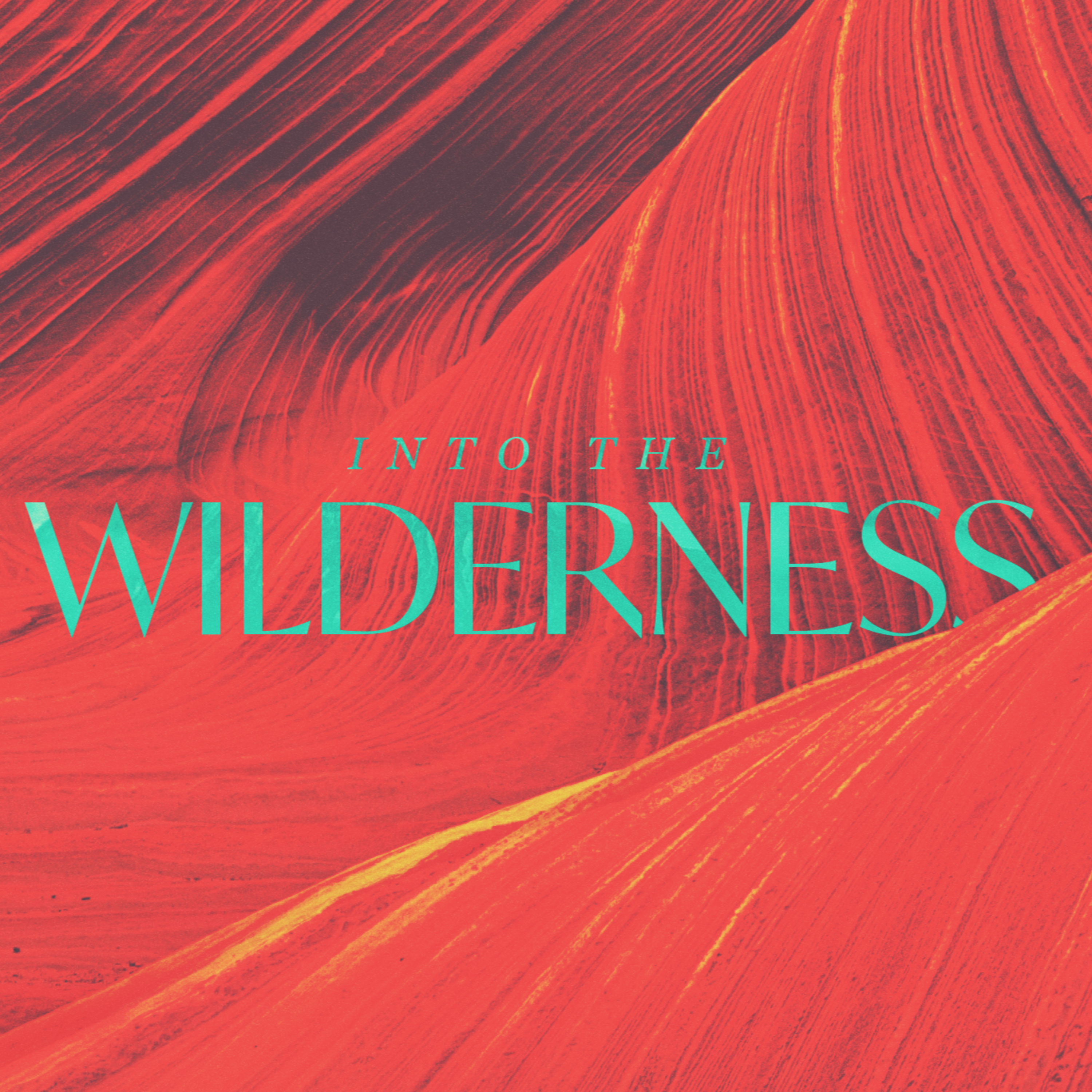 Into the Wilderness - Week 4  episode artwork