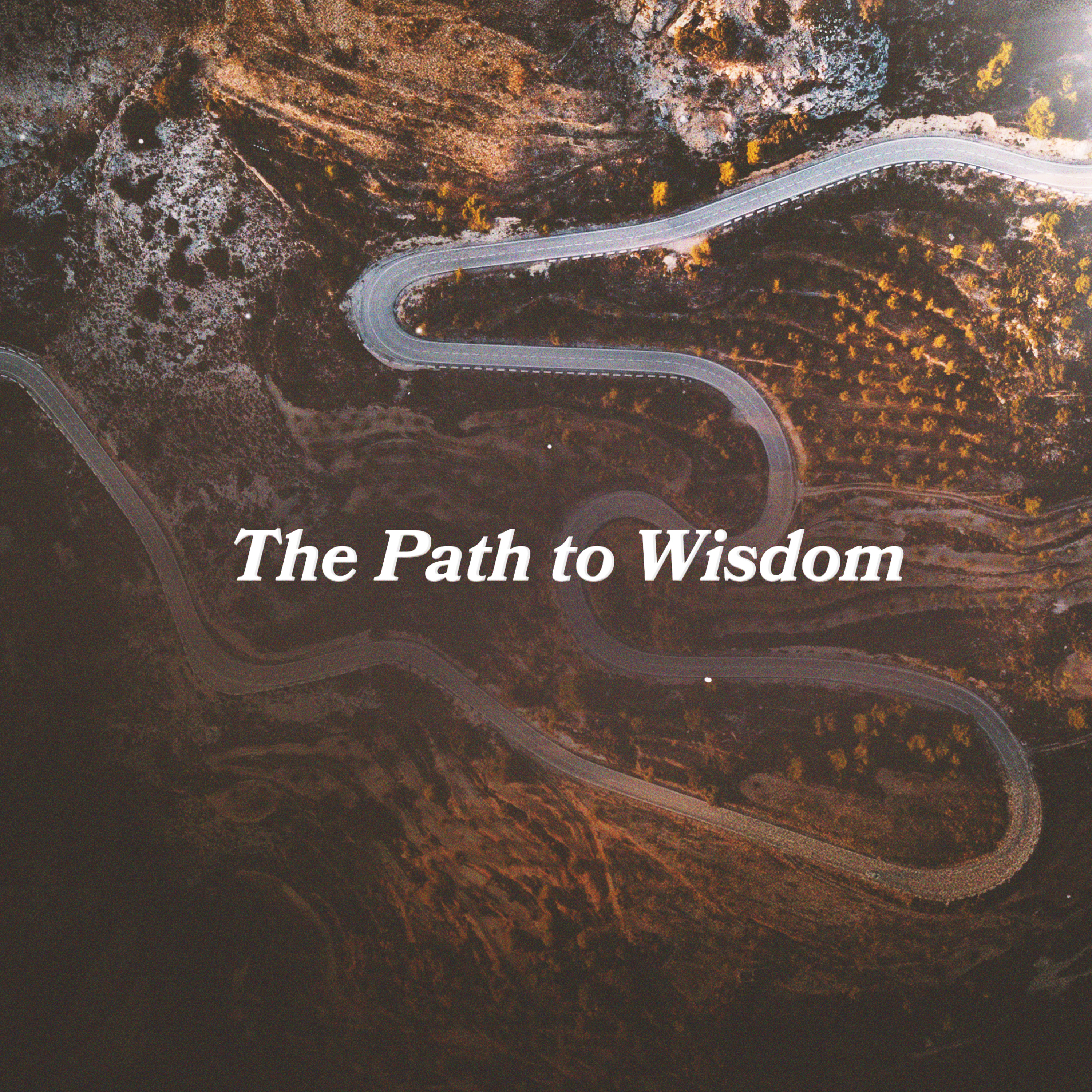 The Path To Wisdom - Part 2 episode artwork