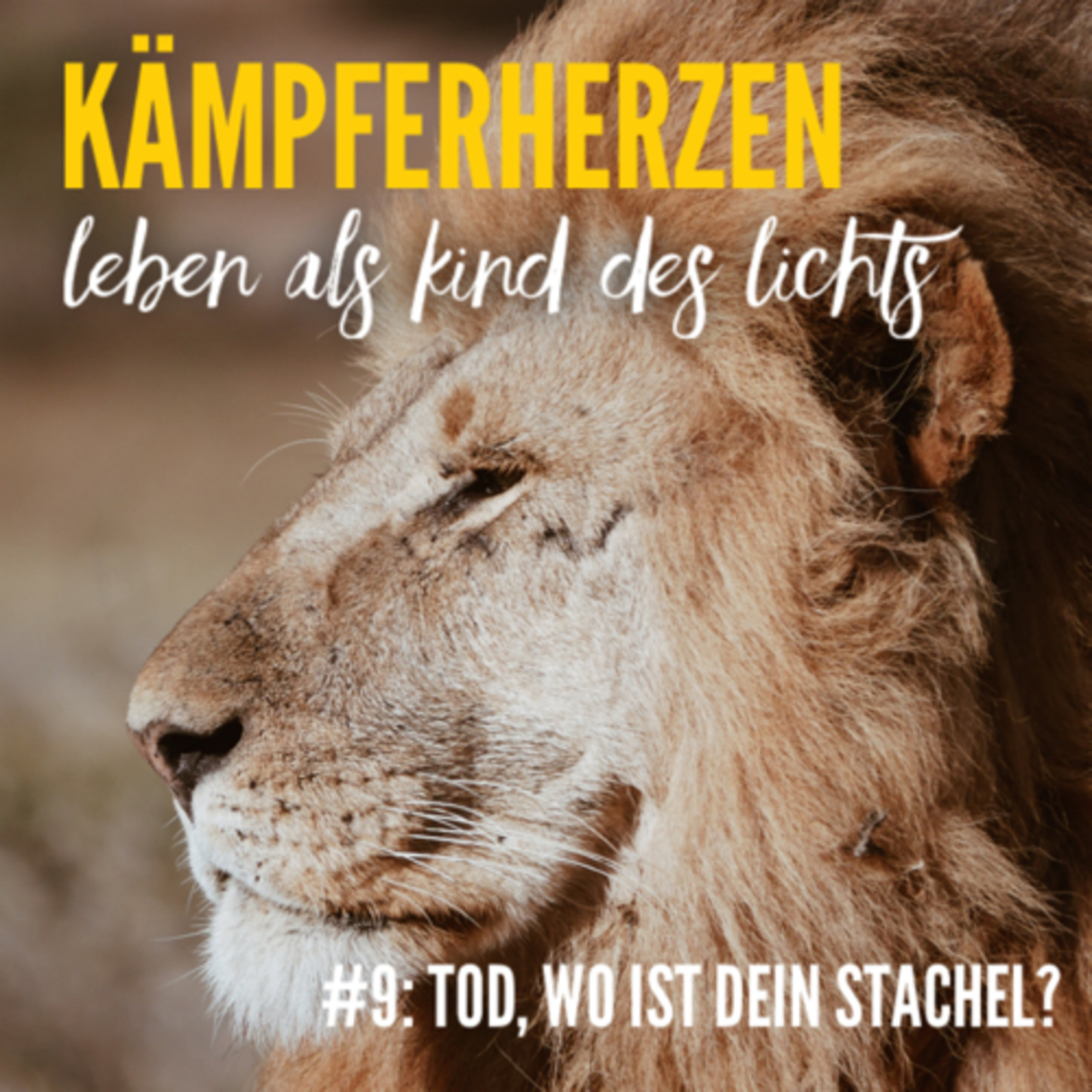 Kämpferherzen: #9 Tod, wo ist Dein Stachel?