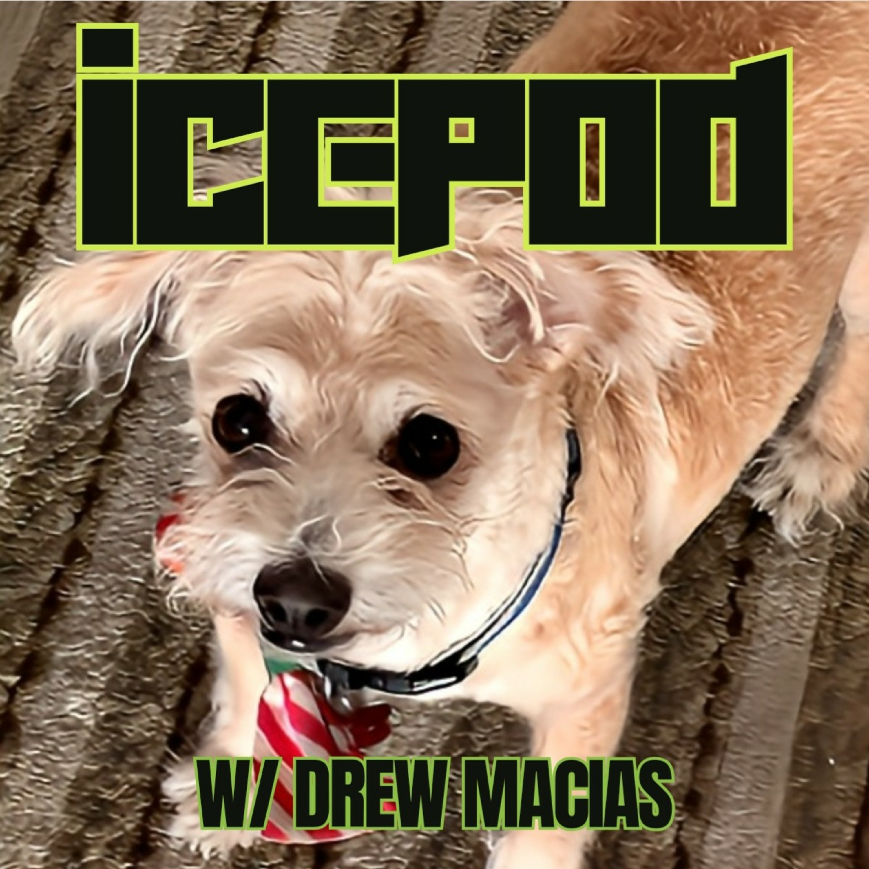 ICEPOD // Independent.Comedy.Experiment