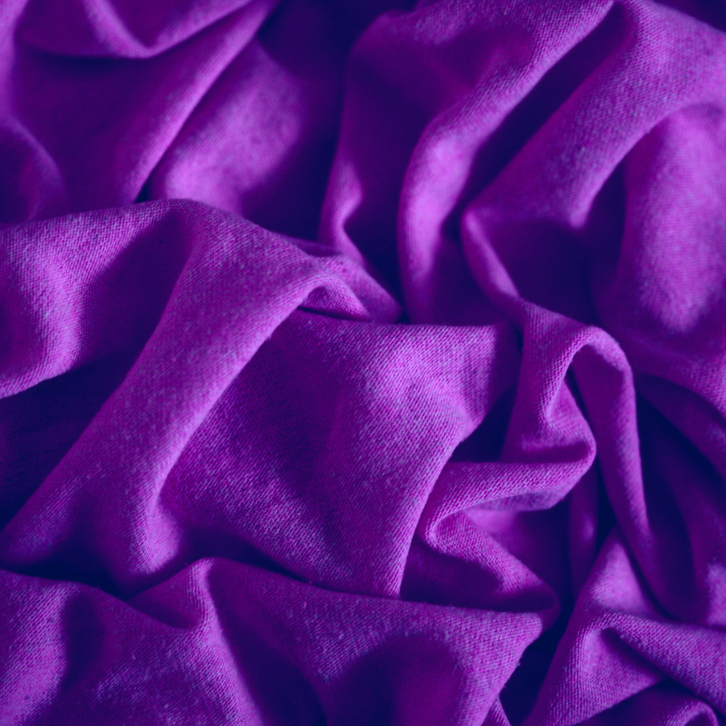 Woman in Purple episode artwork