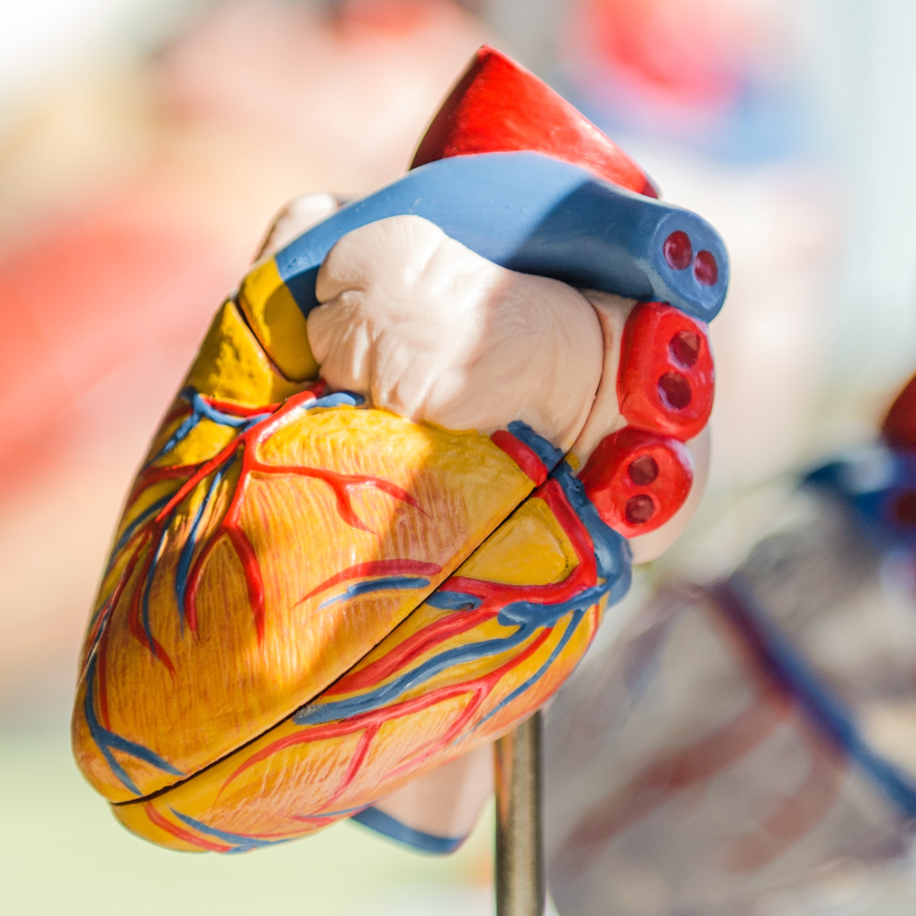 MedTalks