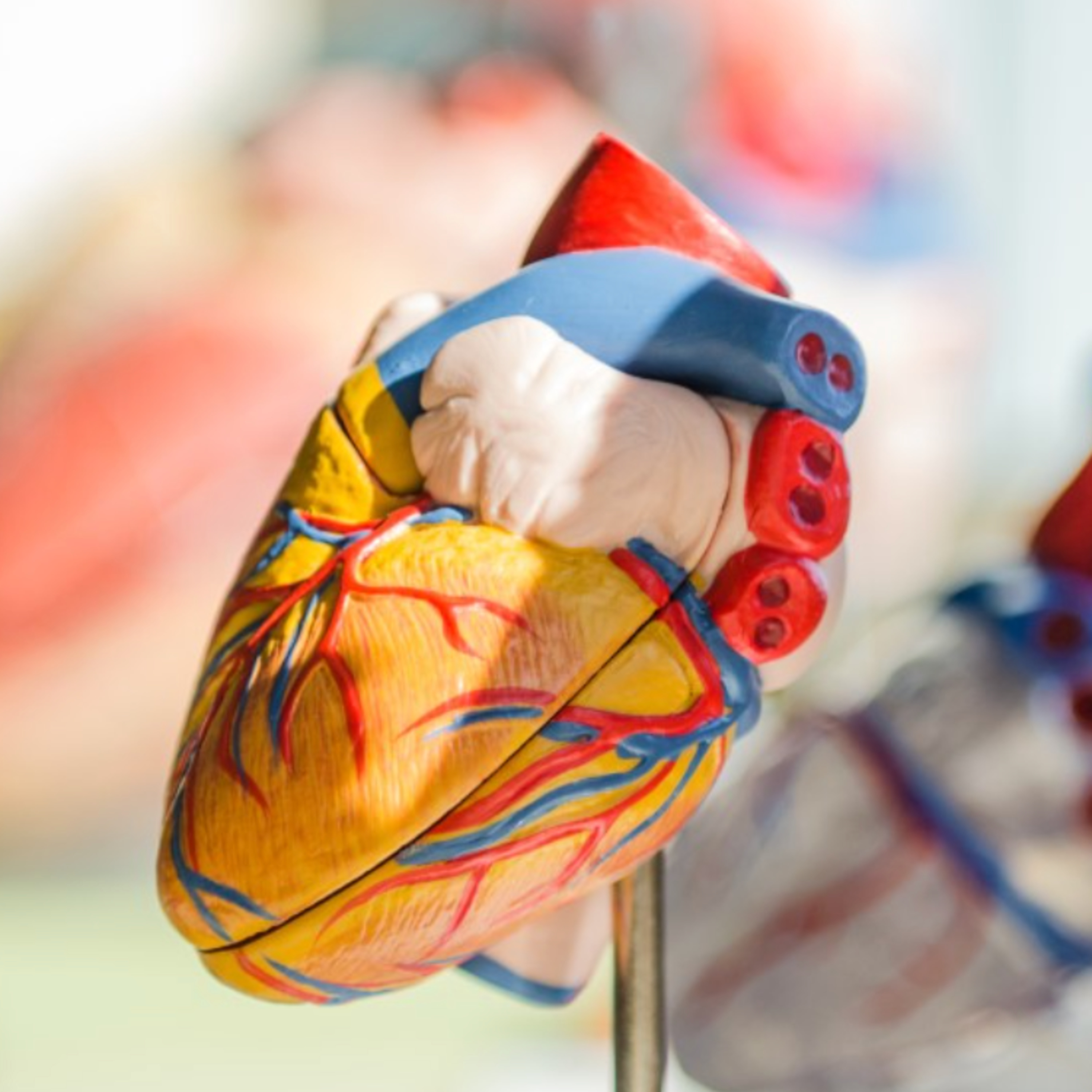 MedTalks