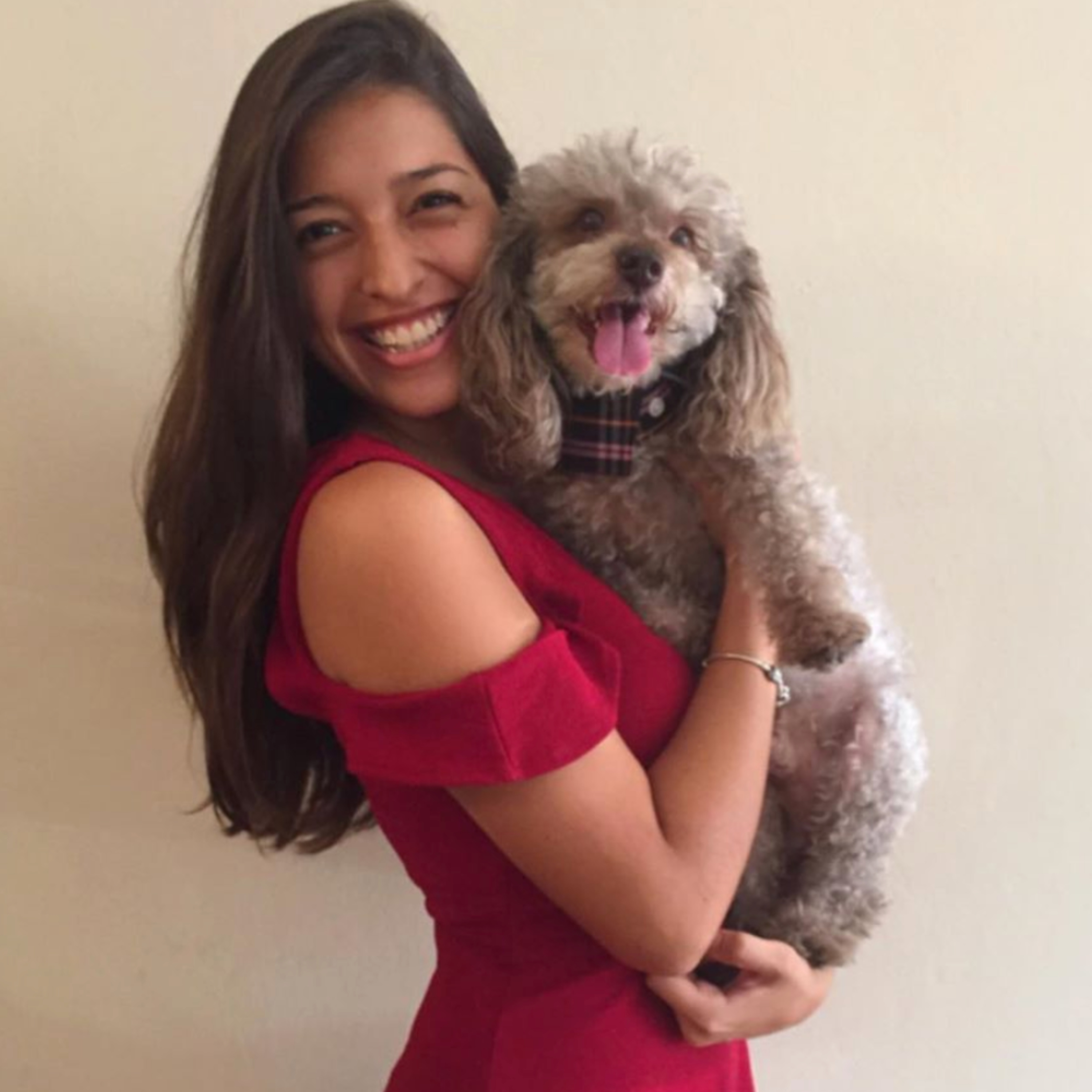 Historias de Mascotas