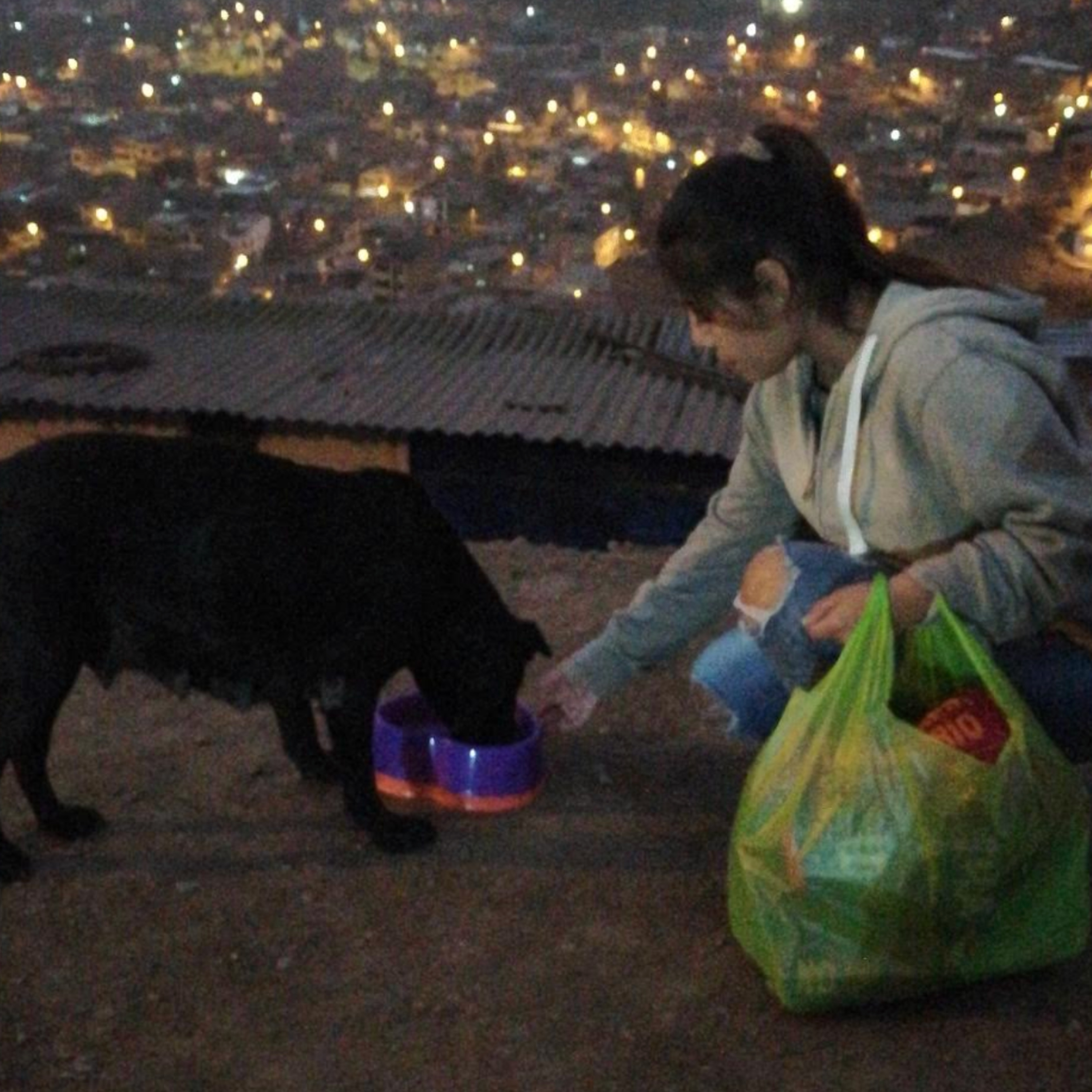 Historias de Mascotas