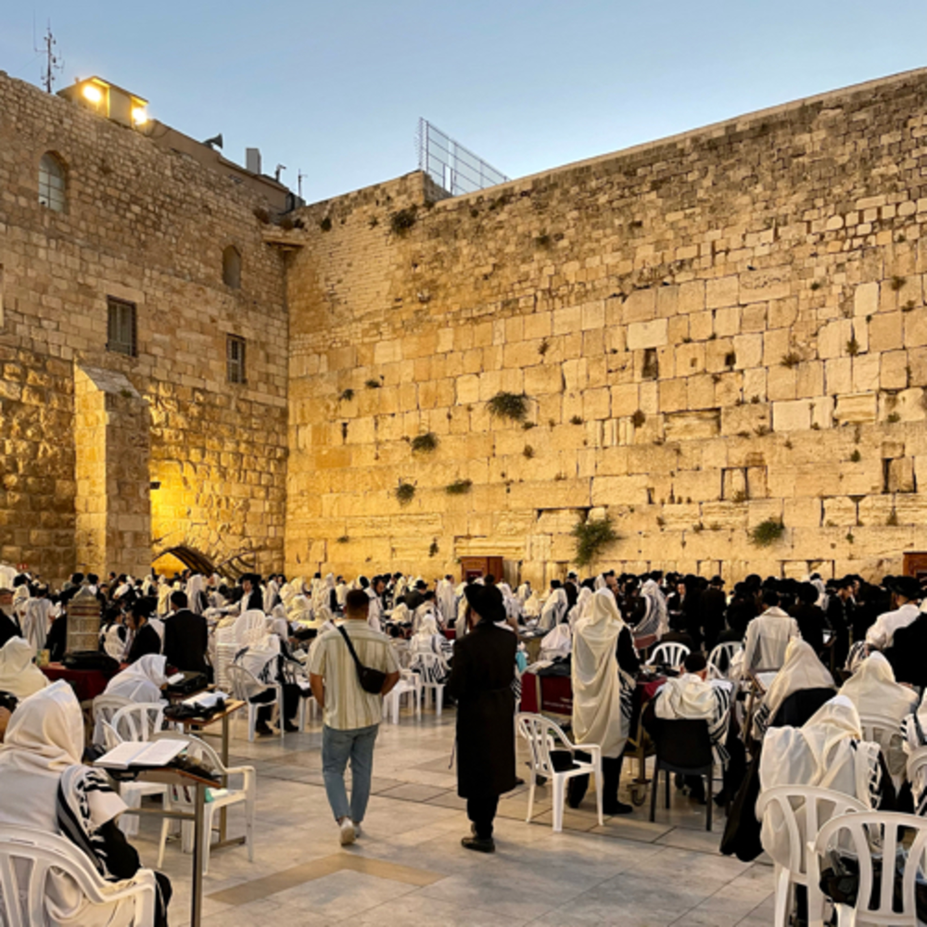 Tisha B’Av 5783- Before Eichah: Mourning our Inability to Mourn episode artwork
