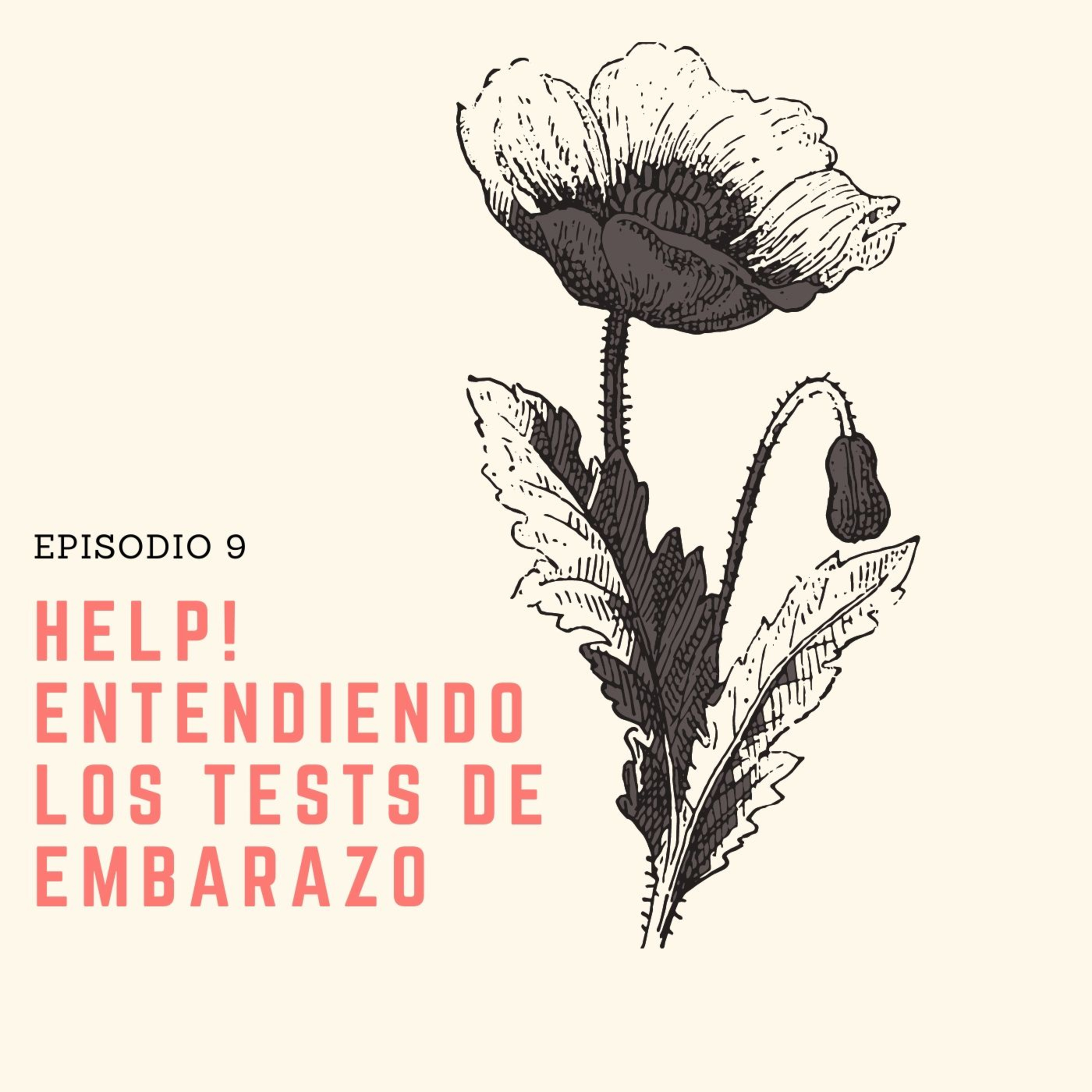 Ovulando con Elena