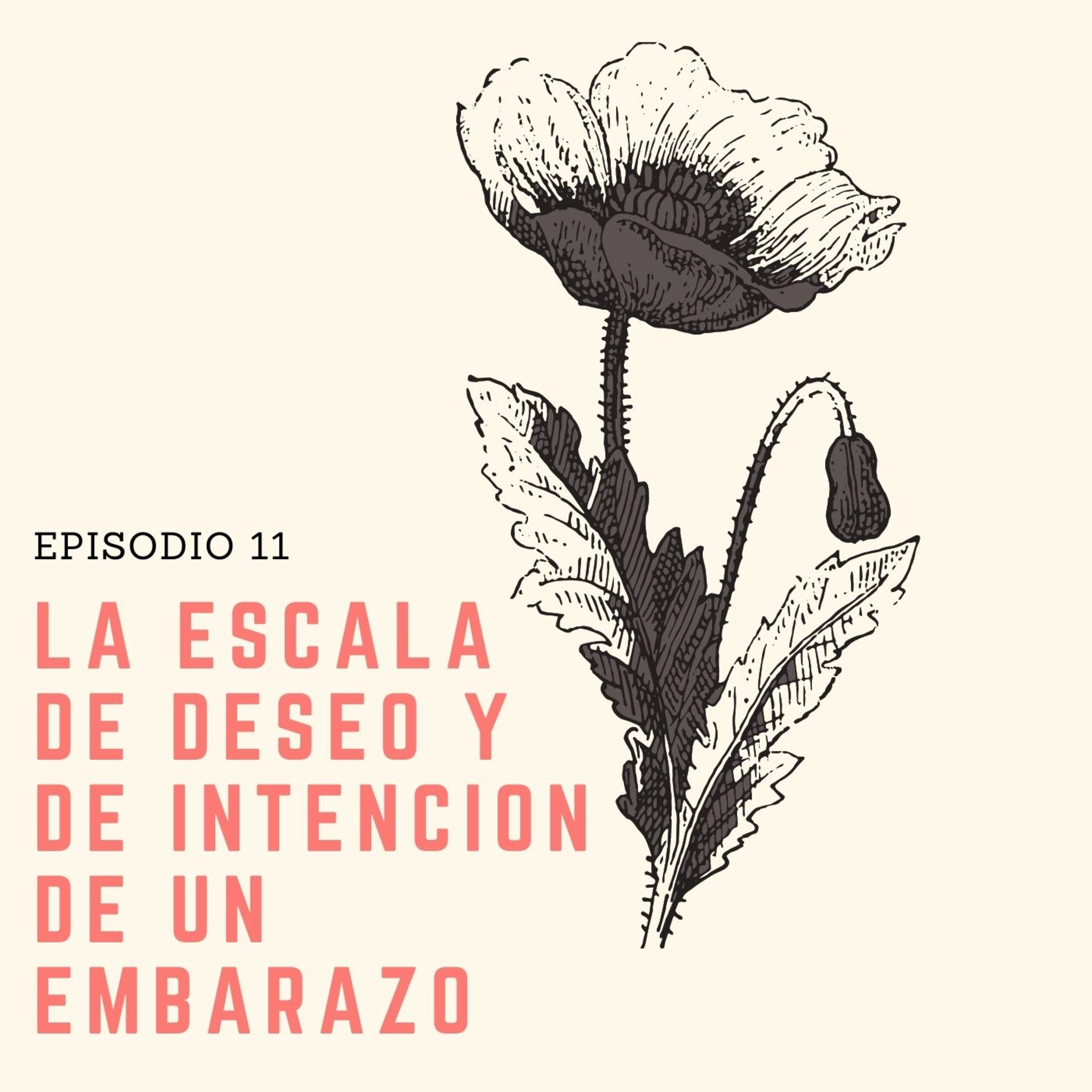 Ovulando con Elena