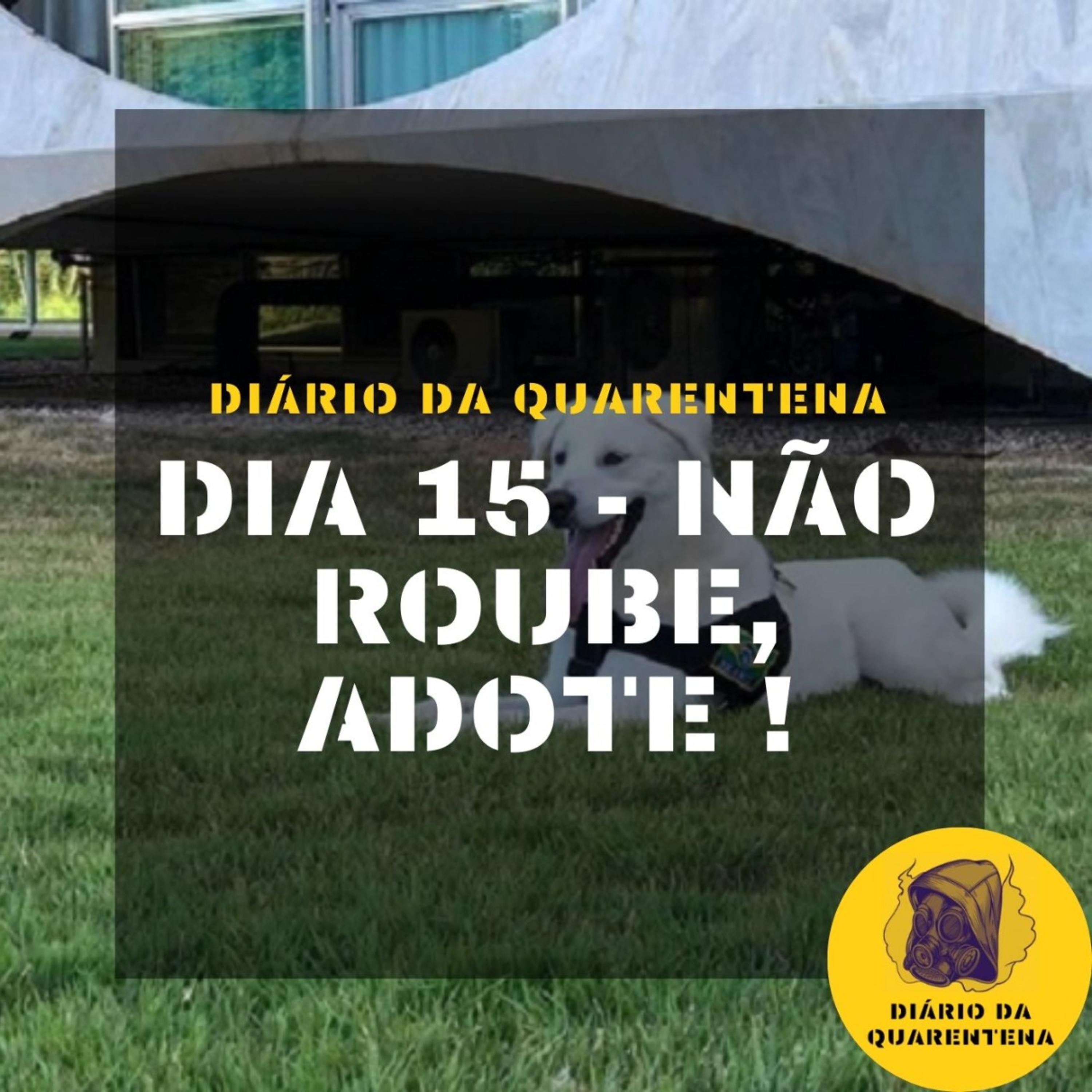 Diário da Quarentena