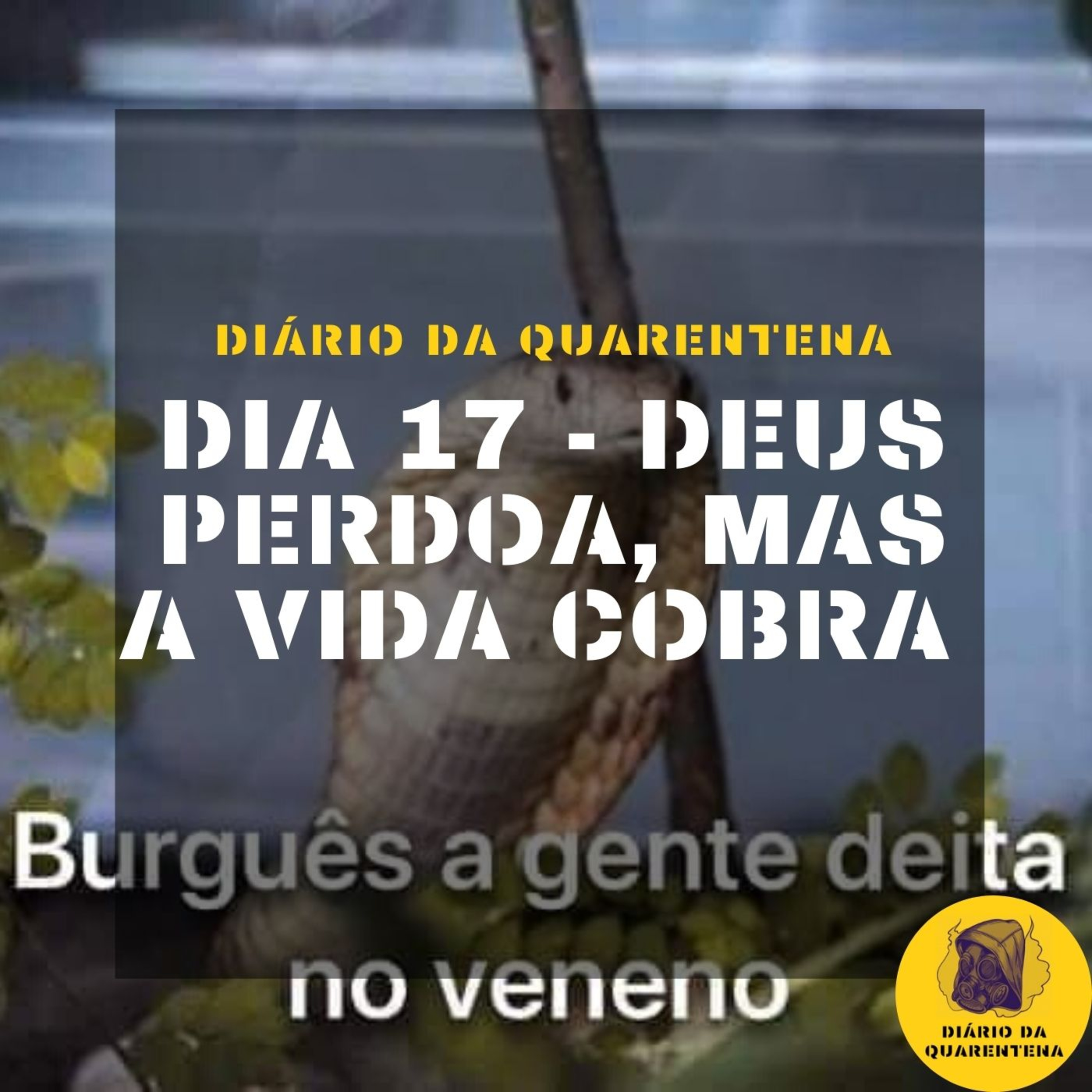 Diário da Quarentena