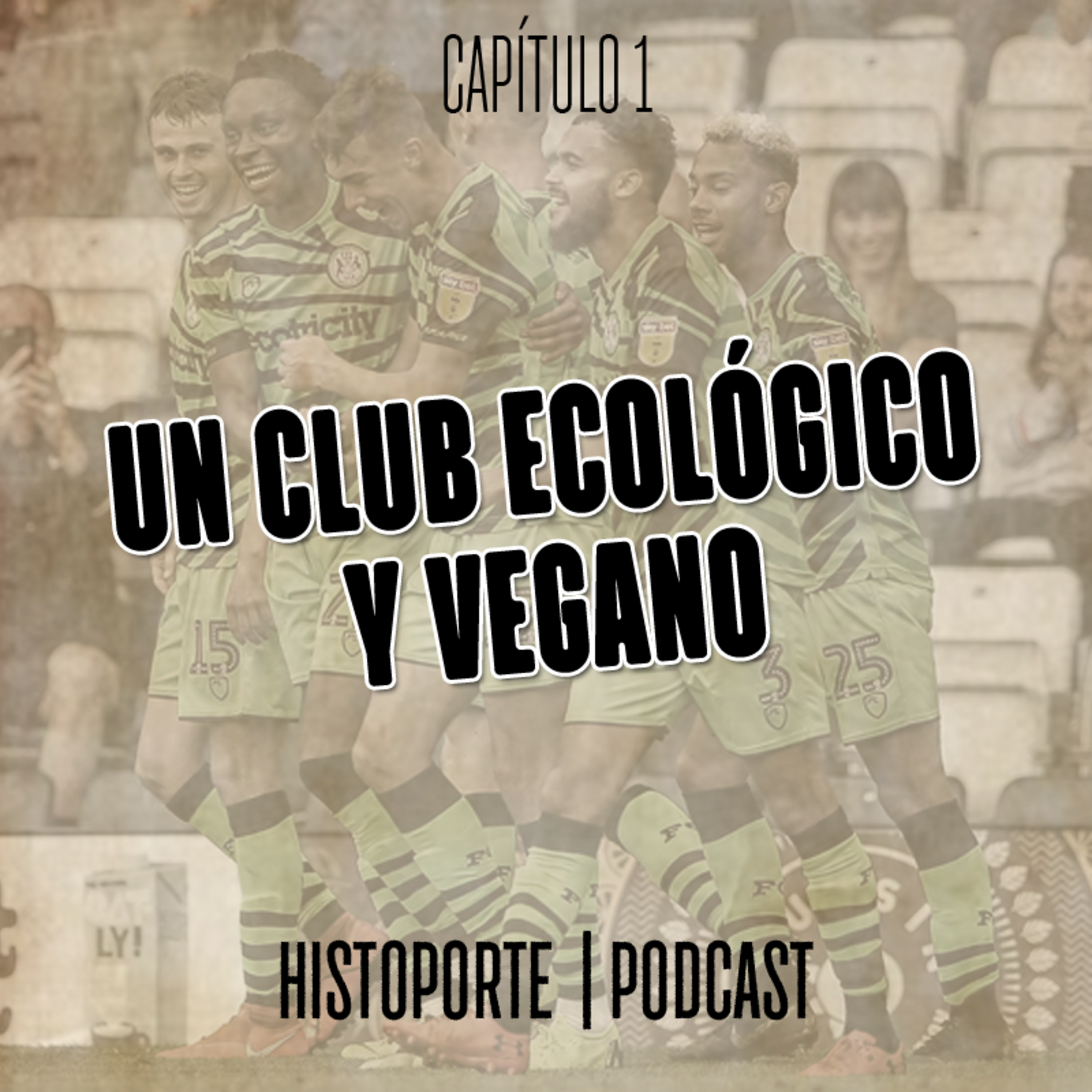 Histoporte