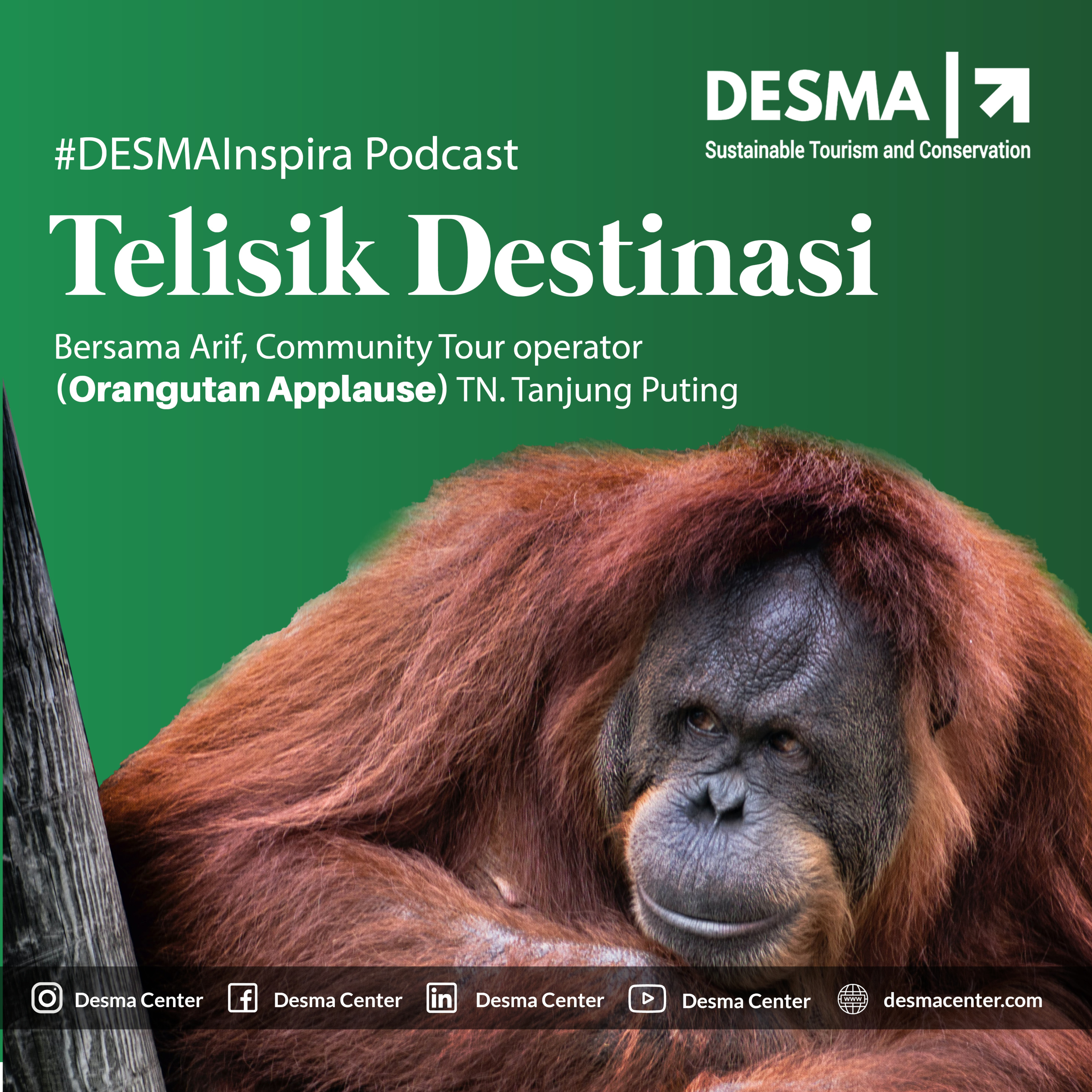 #DESMAinspira