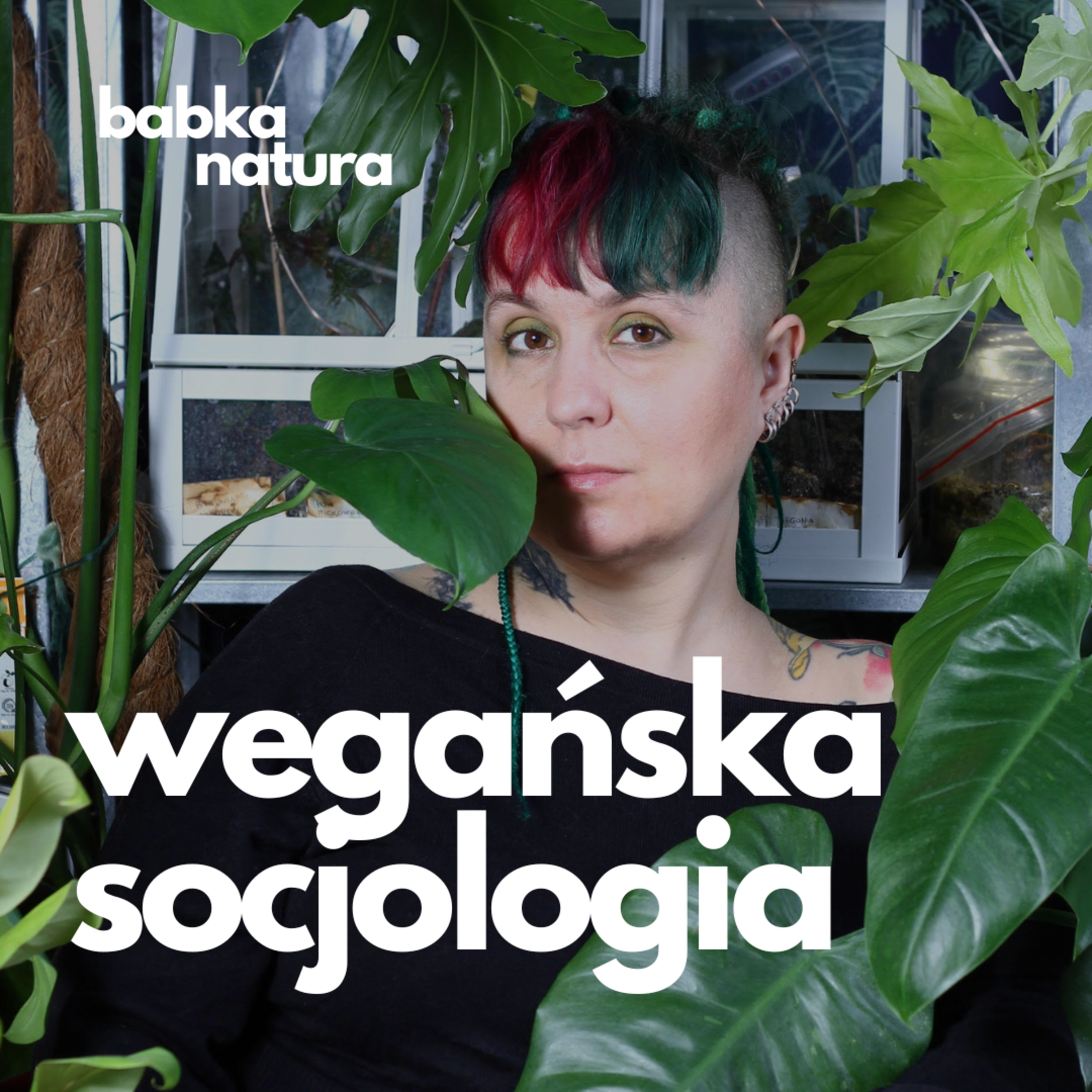 Babka Natura