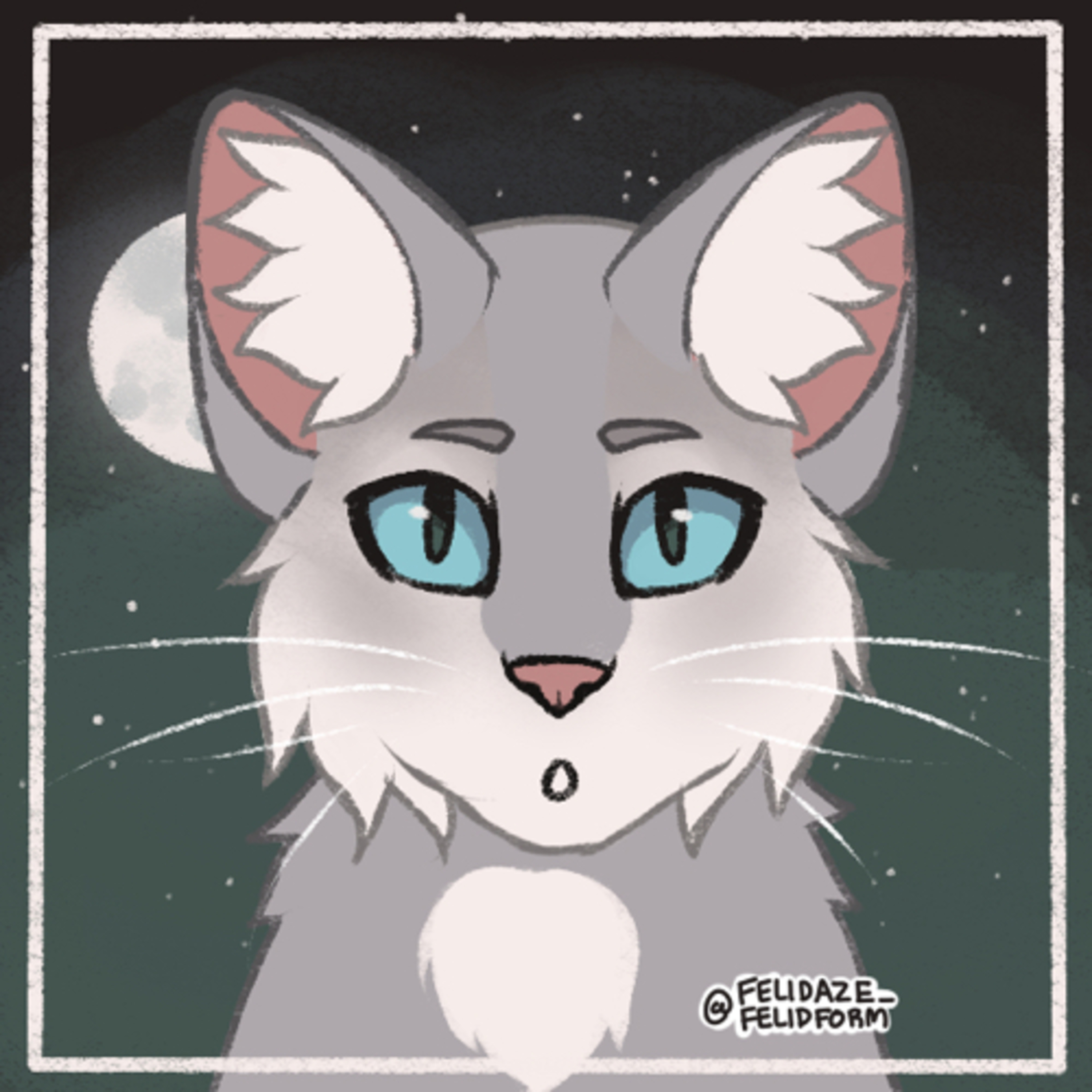 The StarClan Stargazers