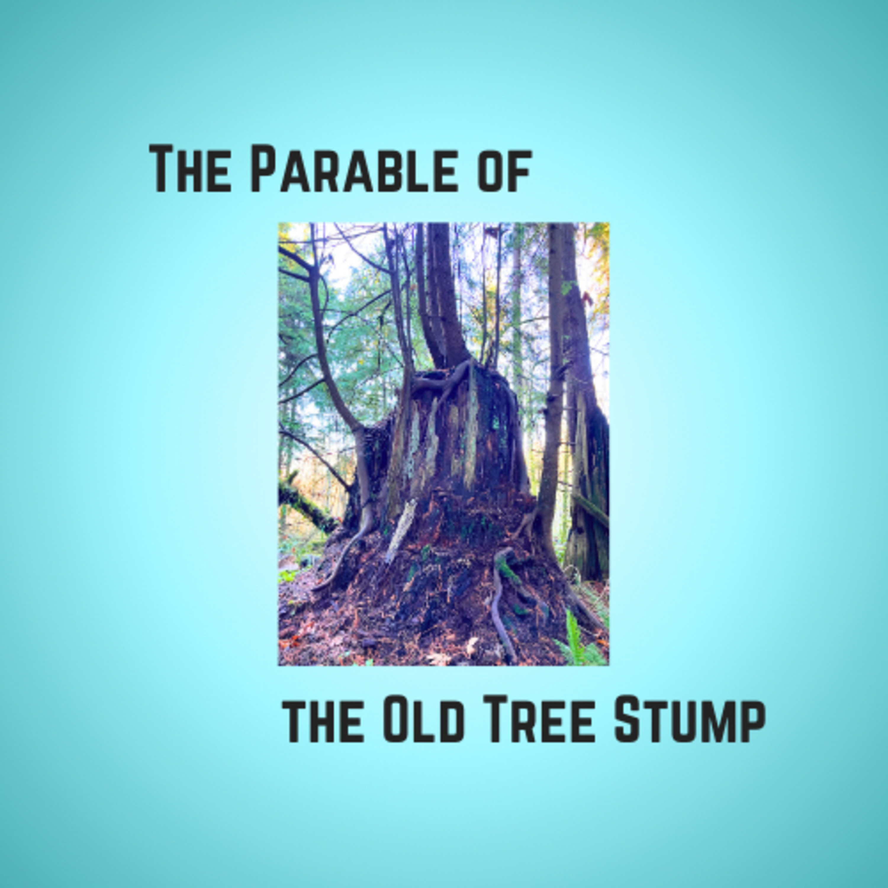 Everyday Parables