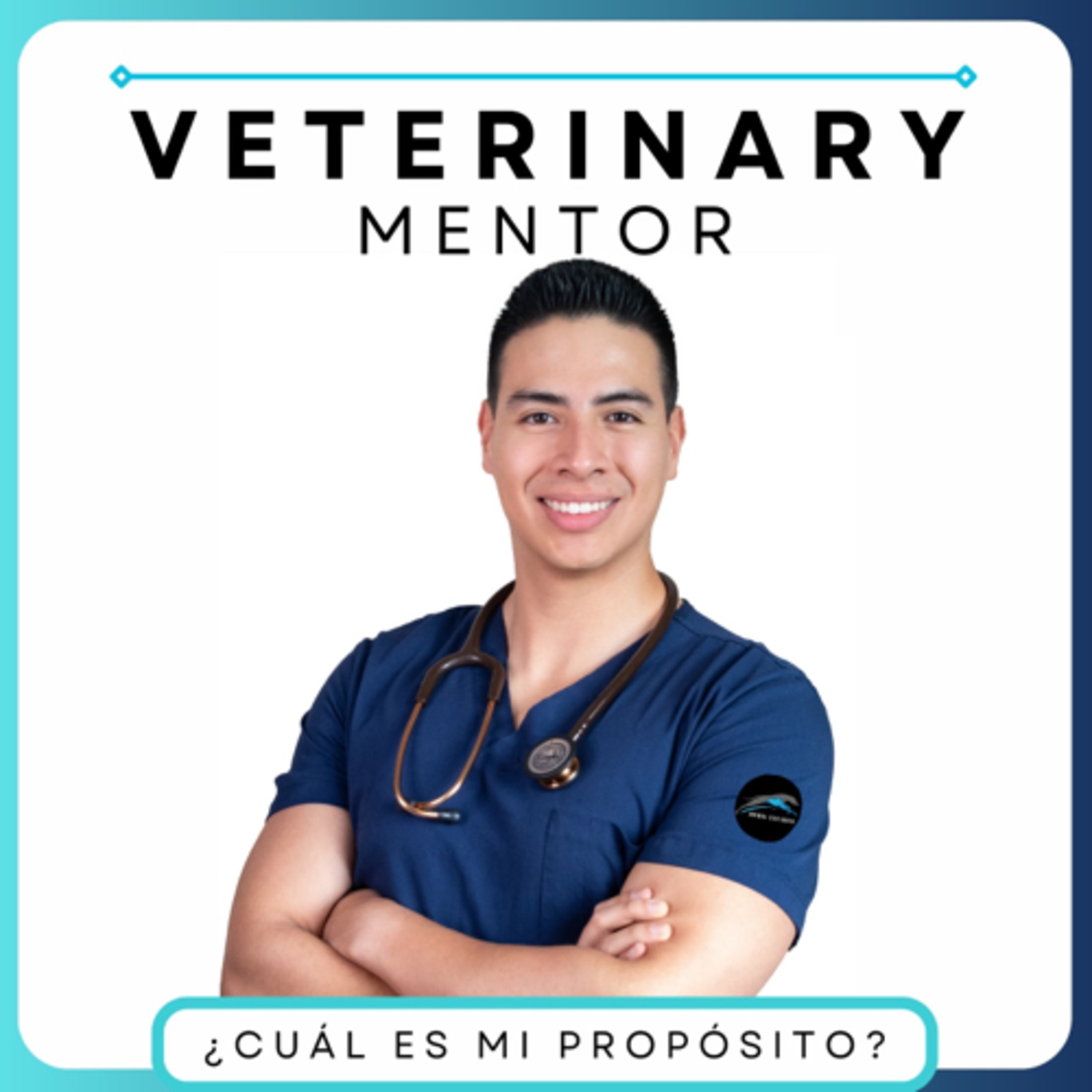 The Veterinary Mentor