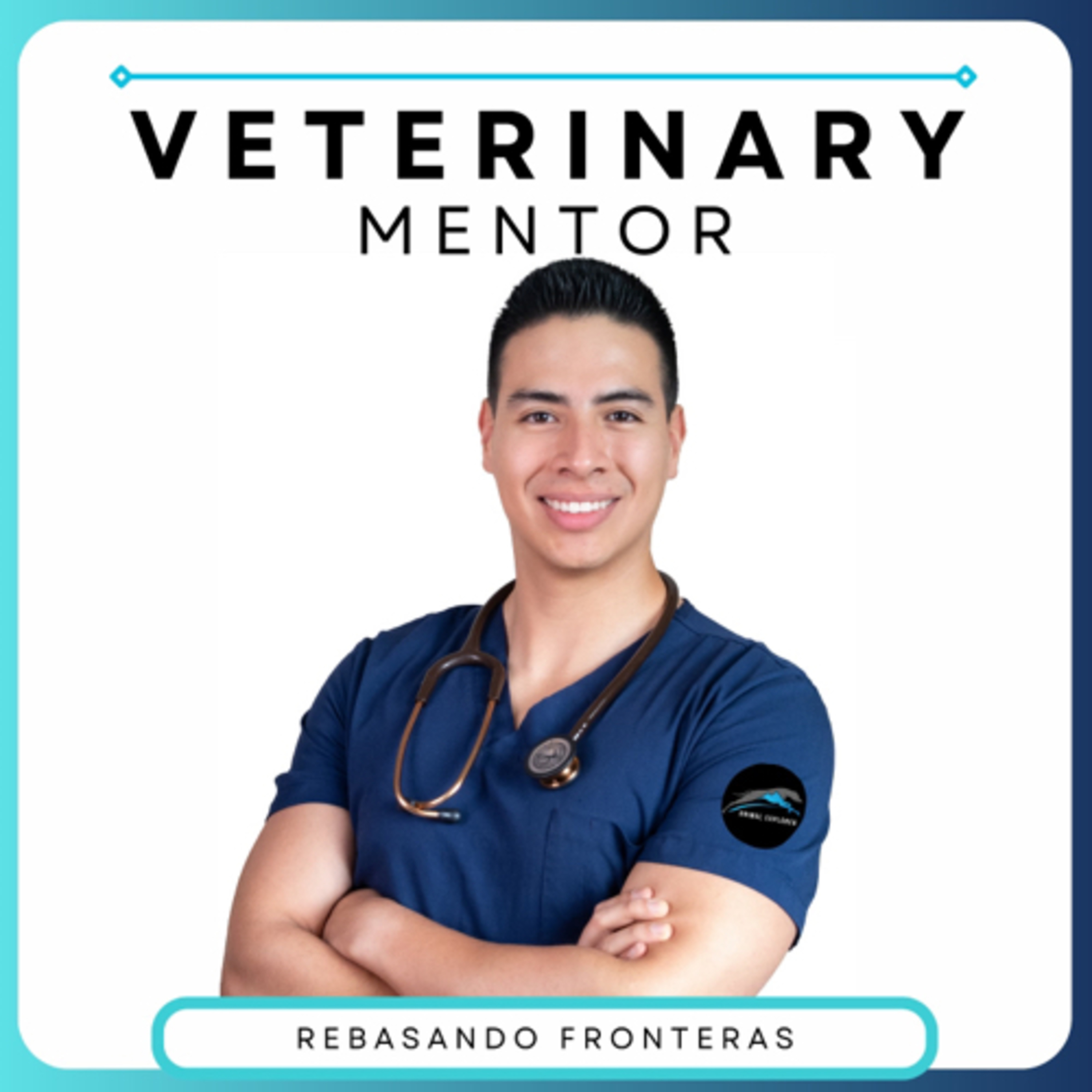 The Veterinary Mentor