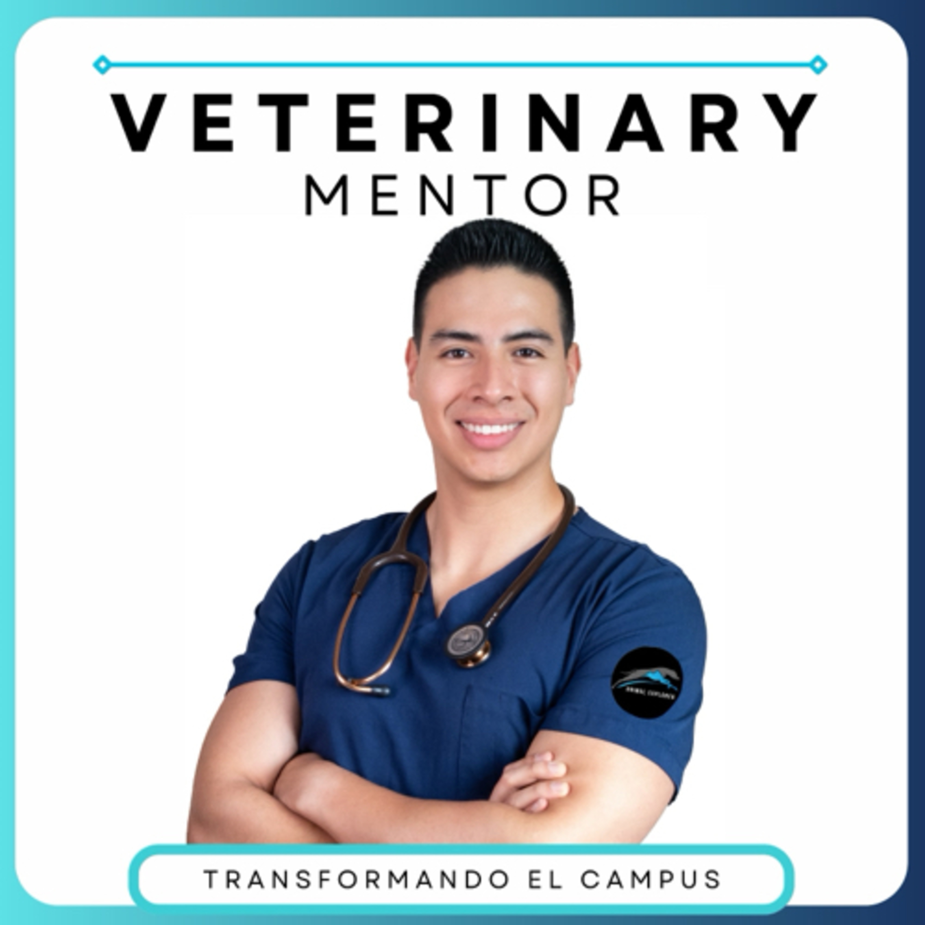 The Veterinary Mentor