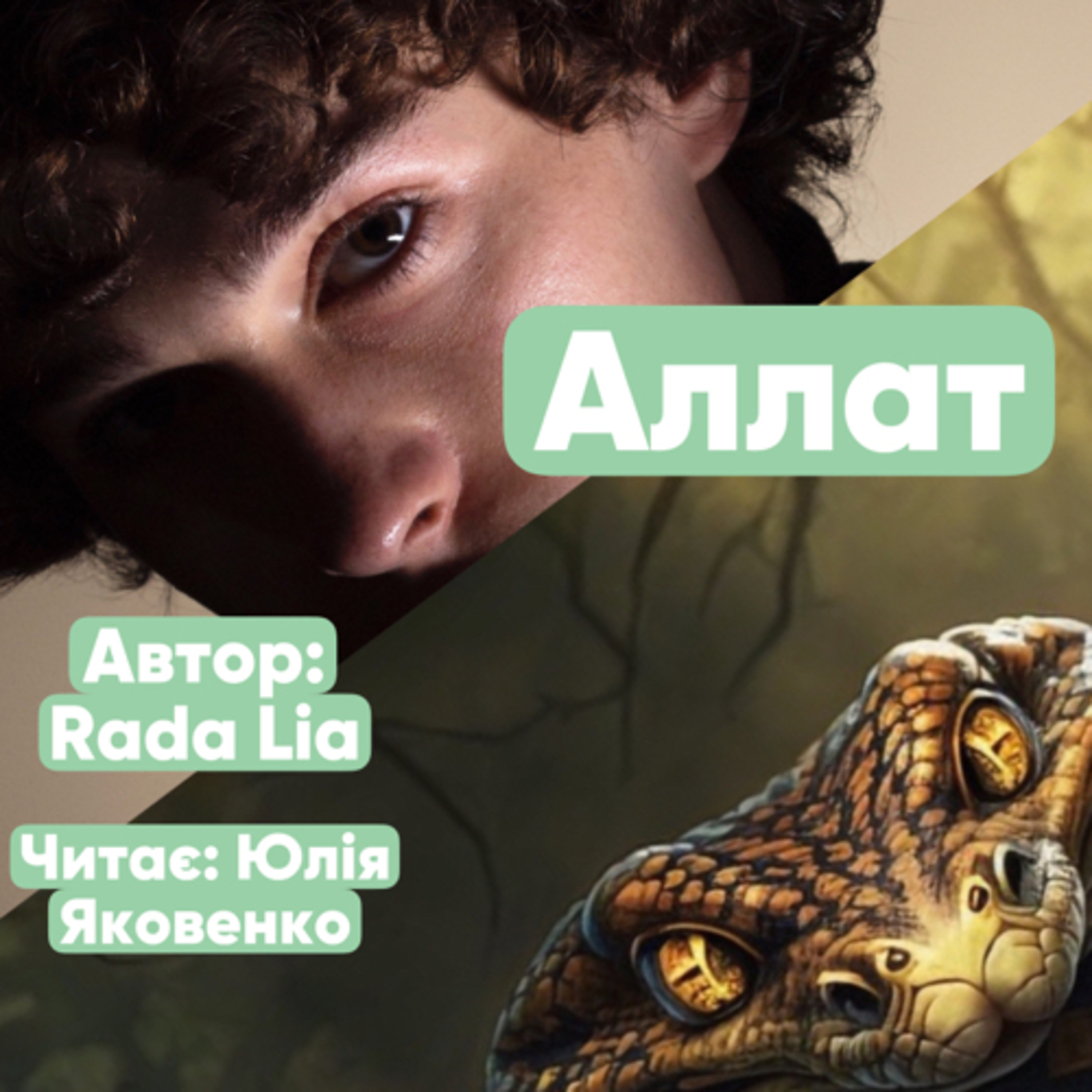Аллат. Розділ 12. Вечірка у школі  episode artwork